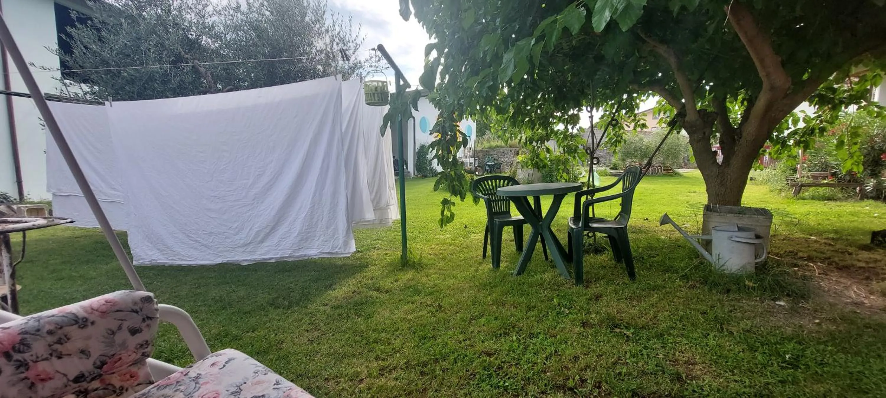 Garden in B&B Books & Bikes