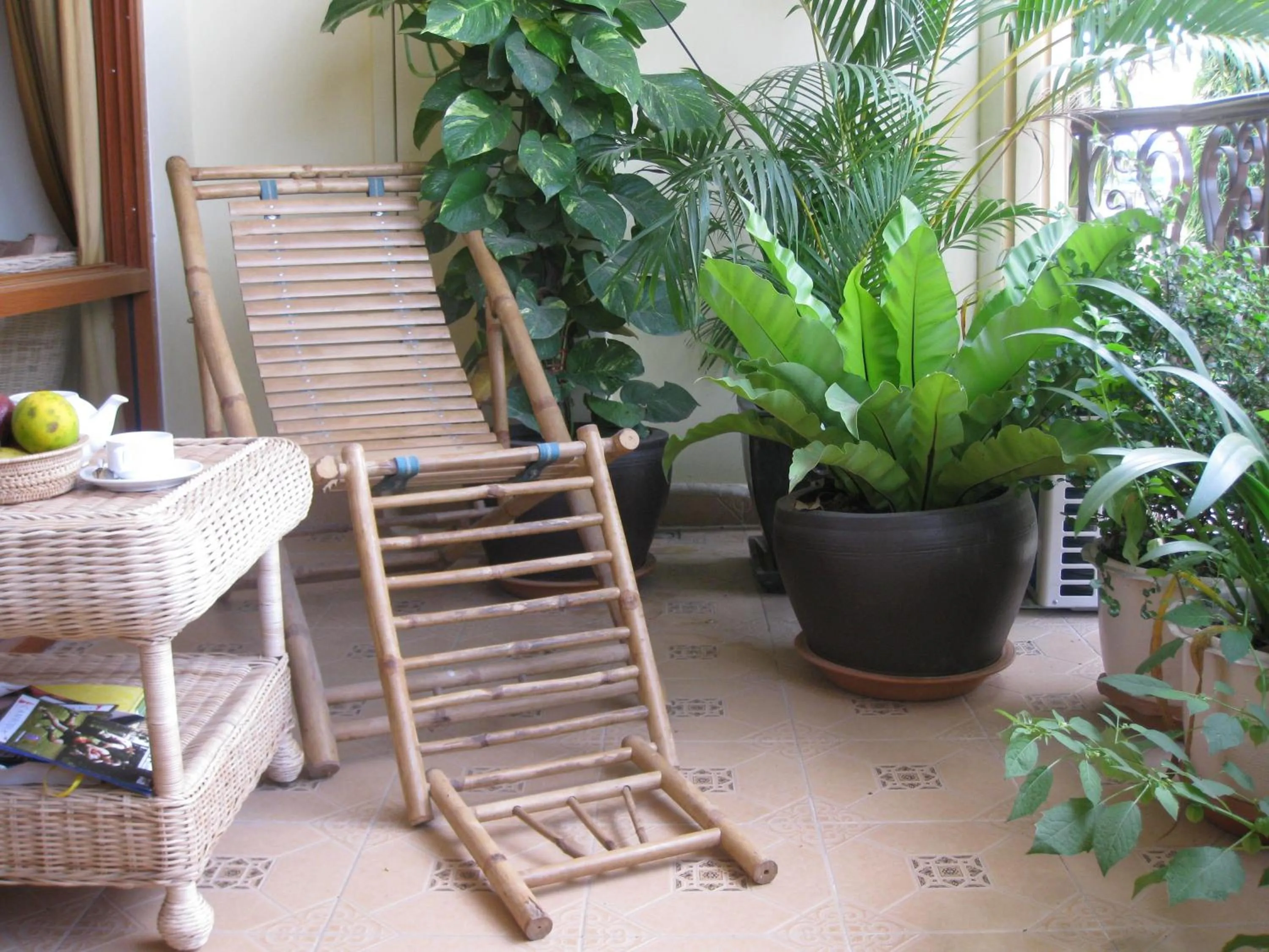 Bird's eye view in Comfort House