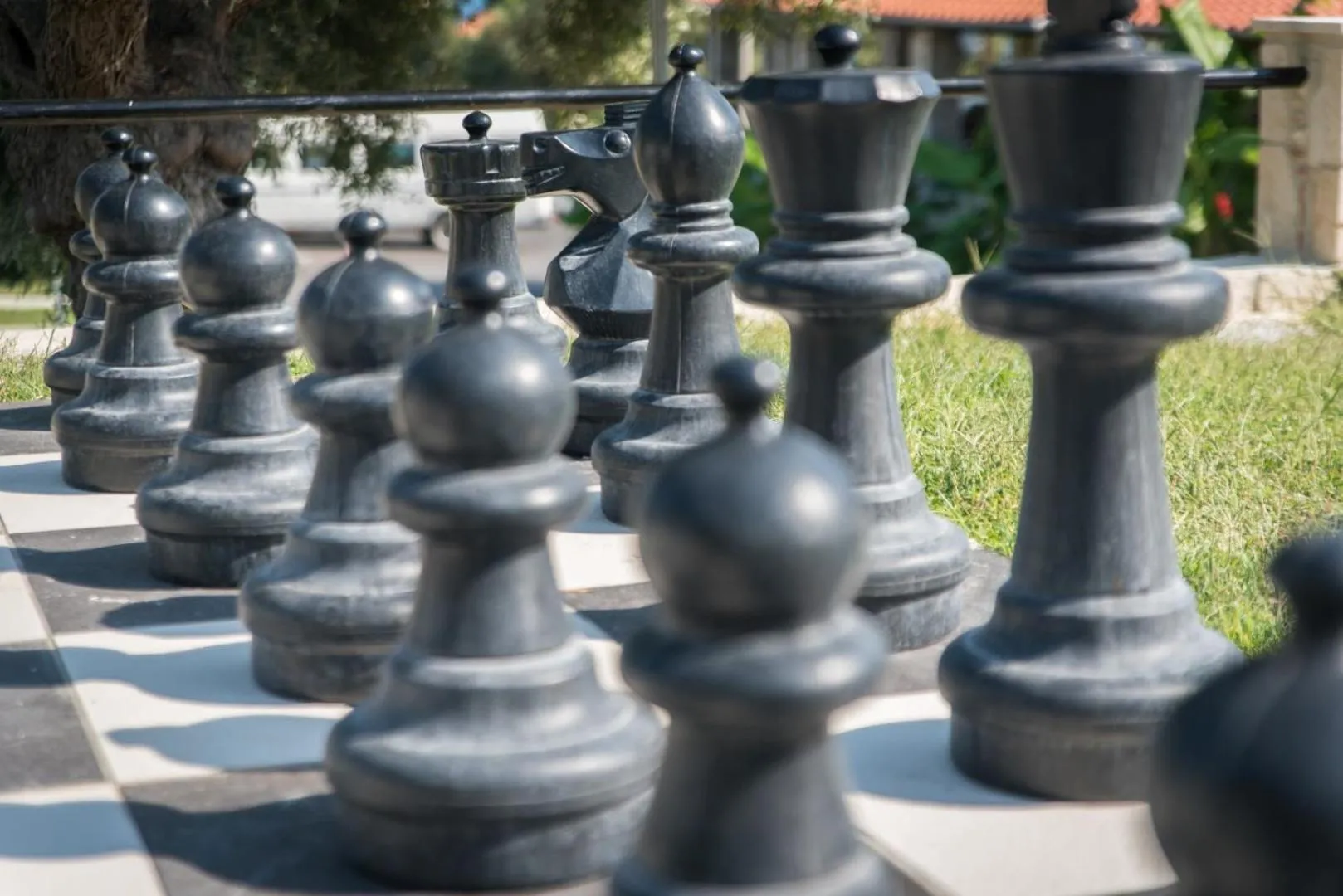 Entertainment in Halkidiki Palace