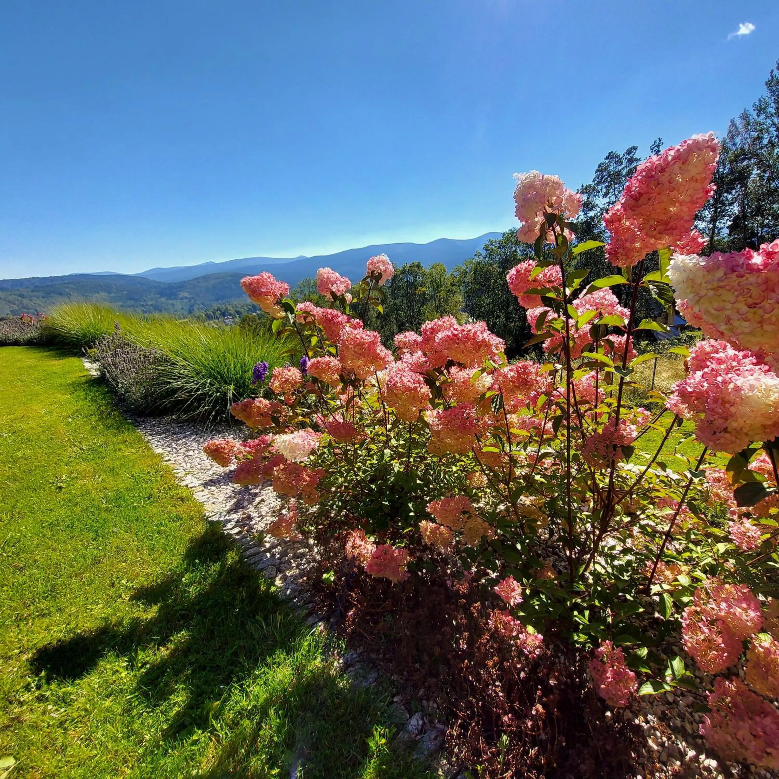 Uroczysko starych sztolni