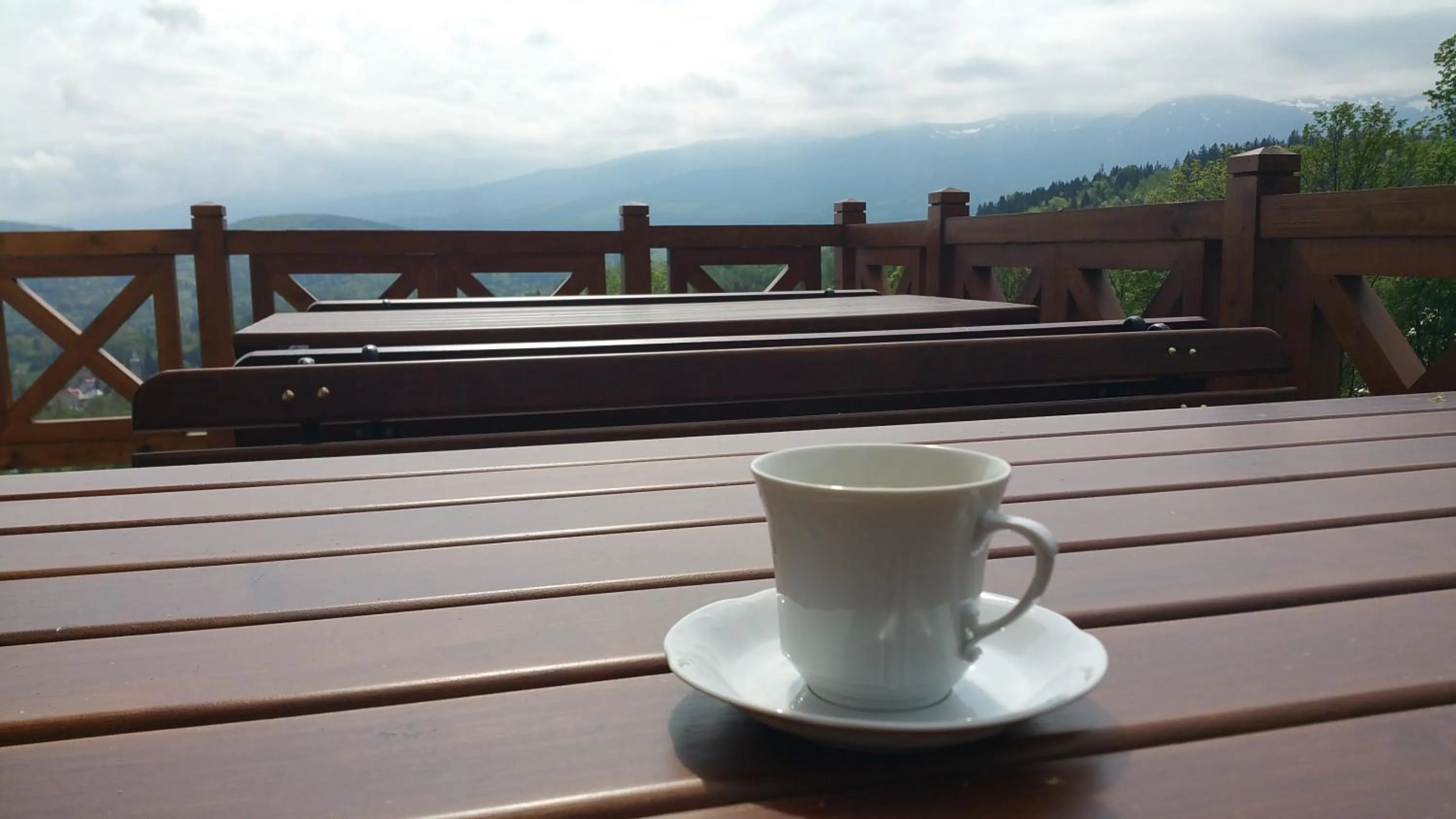 Garden in Uroczysko starych sztolni