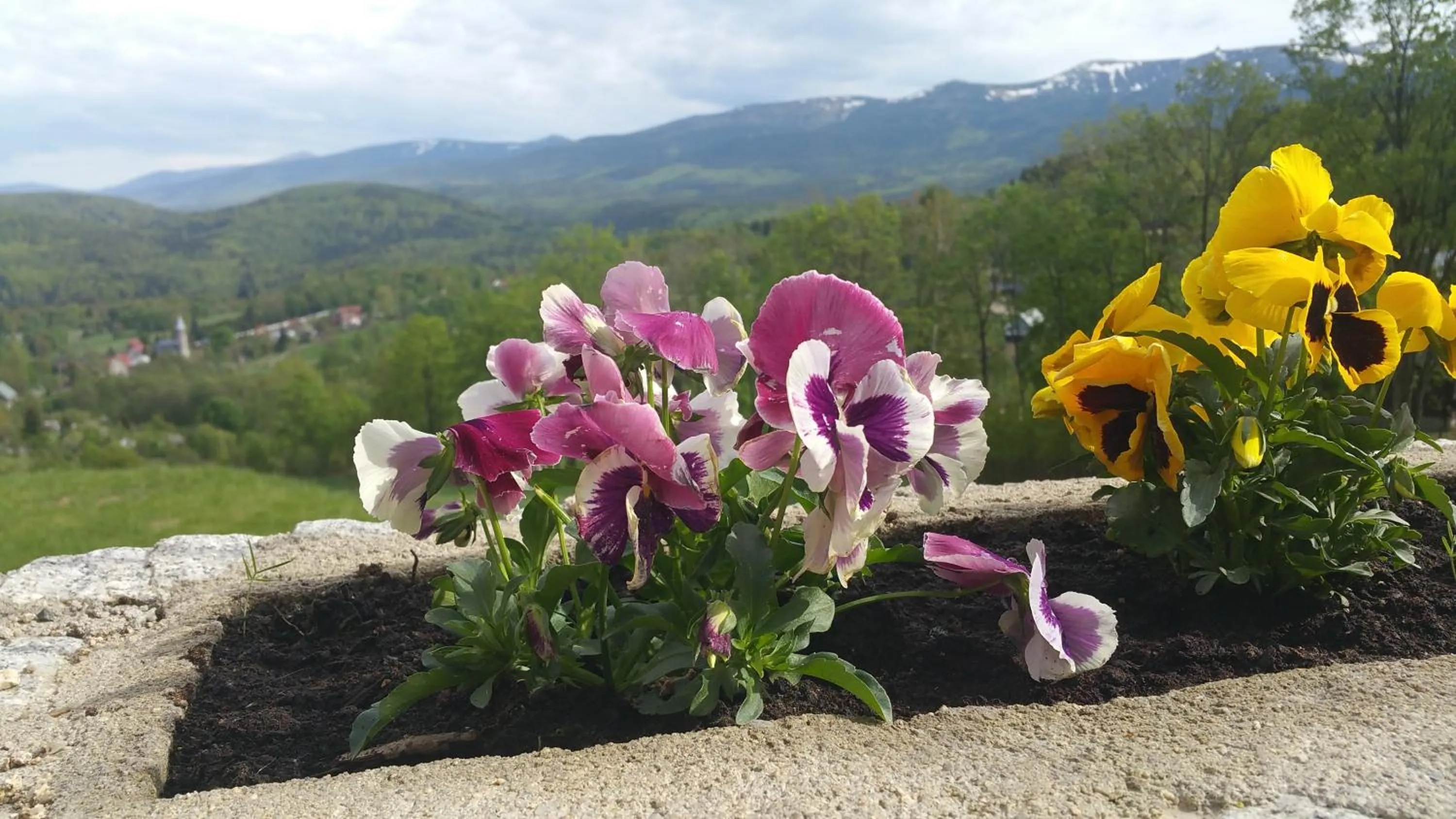 Garden in Uroczysko starych sztolni