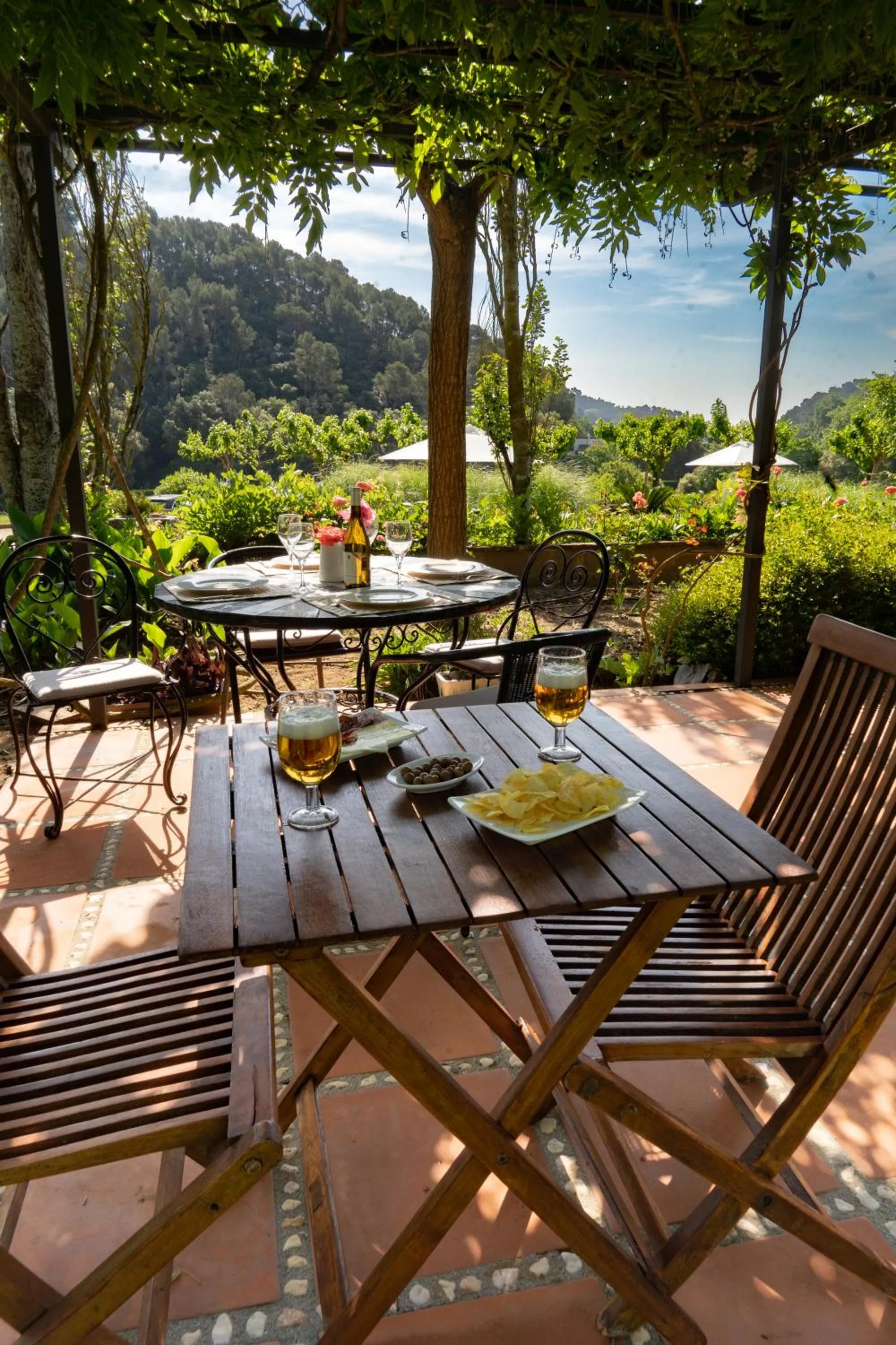 Food and drinks in Can Rosich