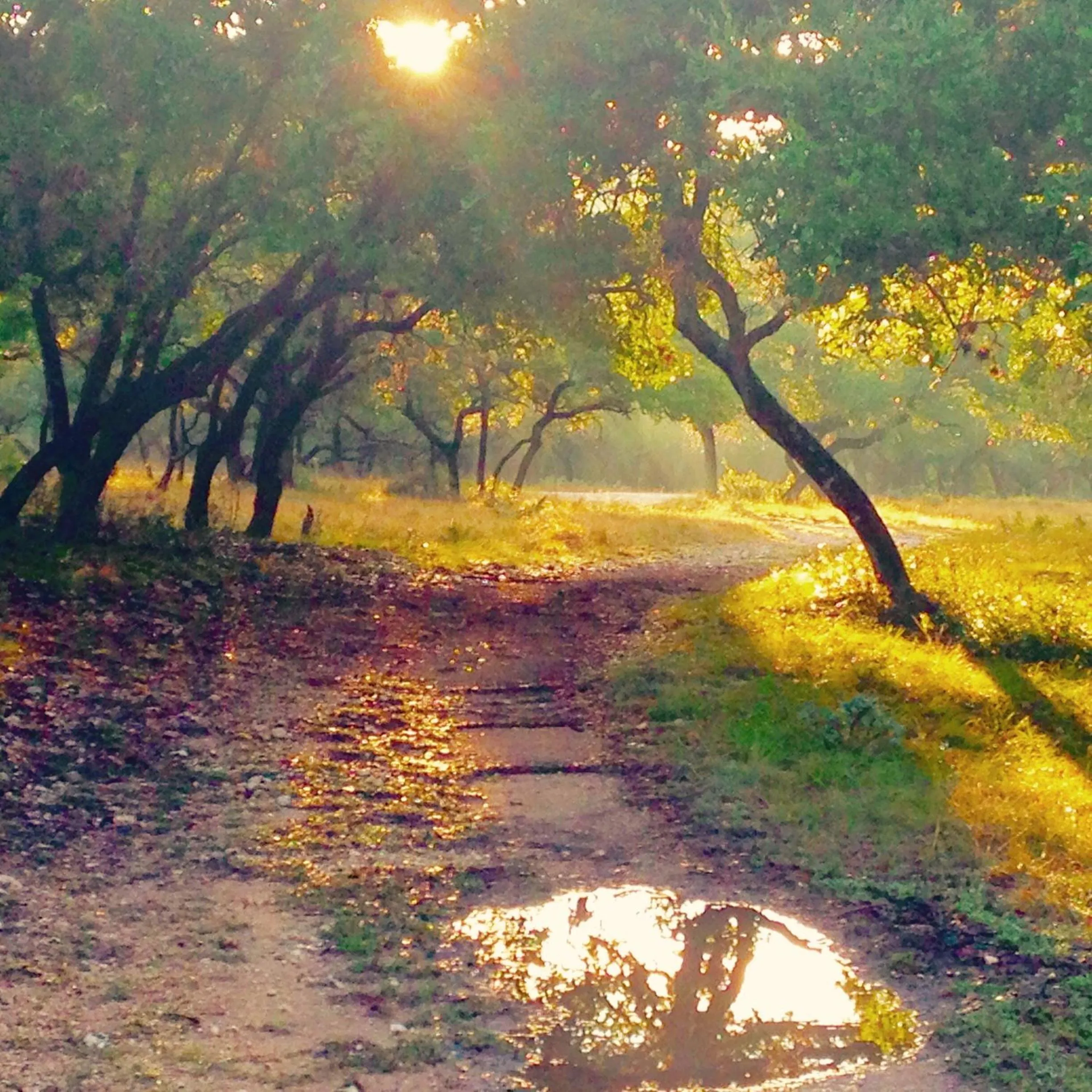 Spring in Glory Hills Ranch