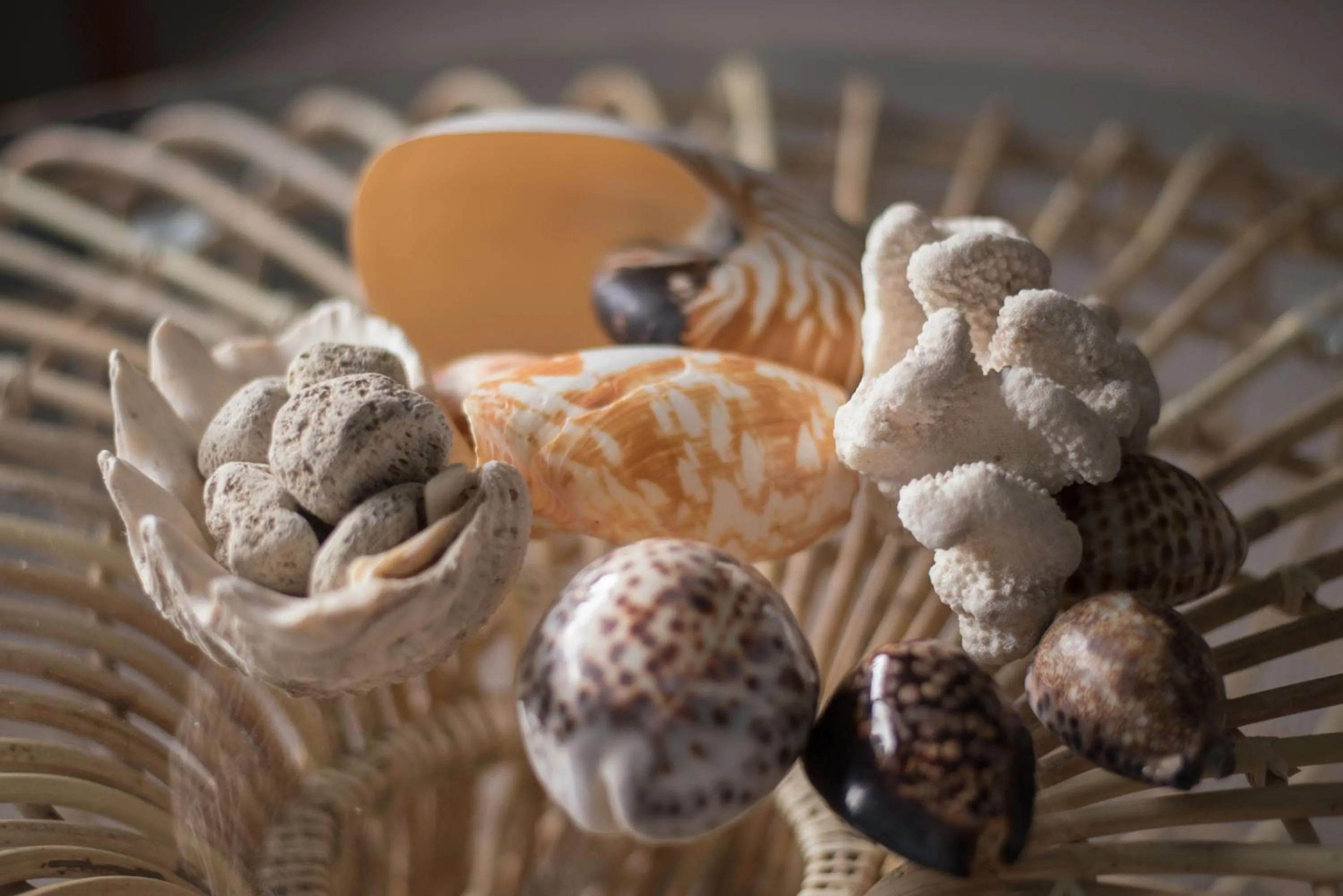 Decorative detail in Seahurst Apartment