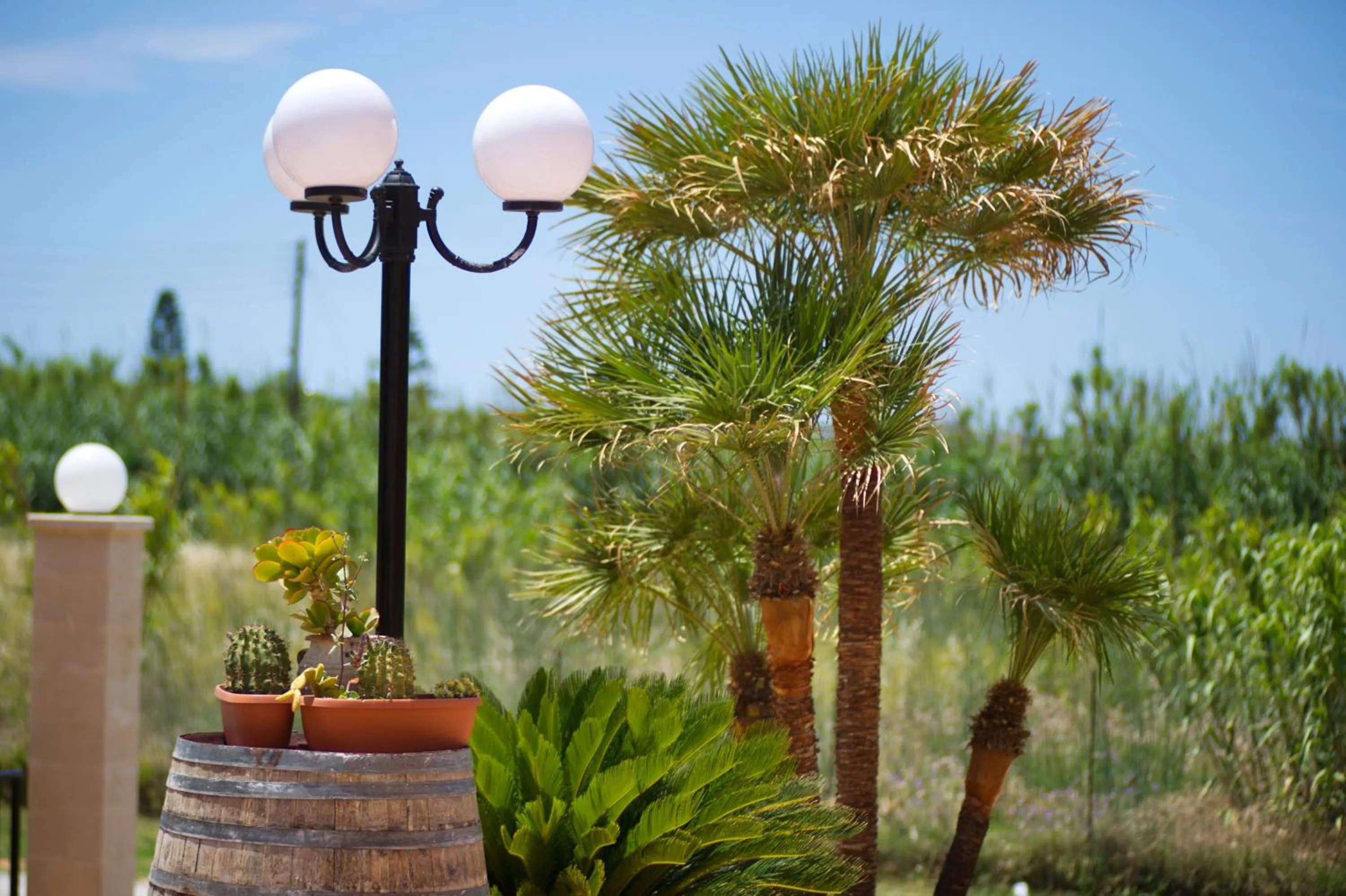 Garden in Silver Beach Hotel & Apartments