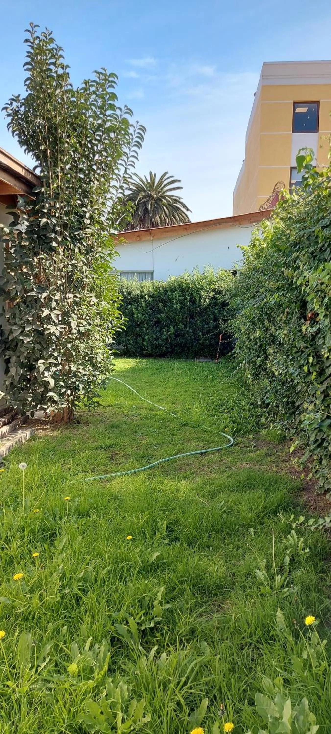 Garden in Hotel Chagual