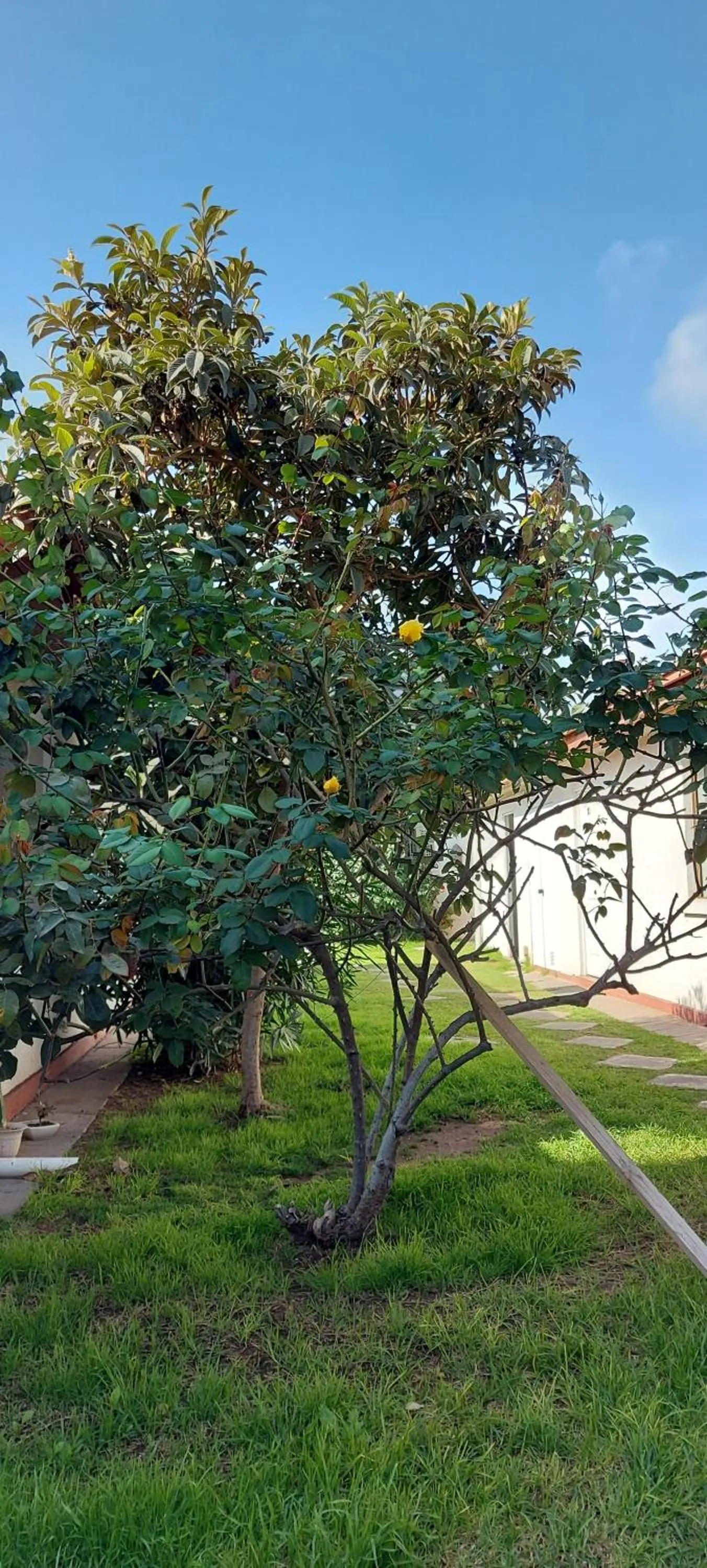 Day in Hotel Chagual