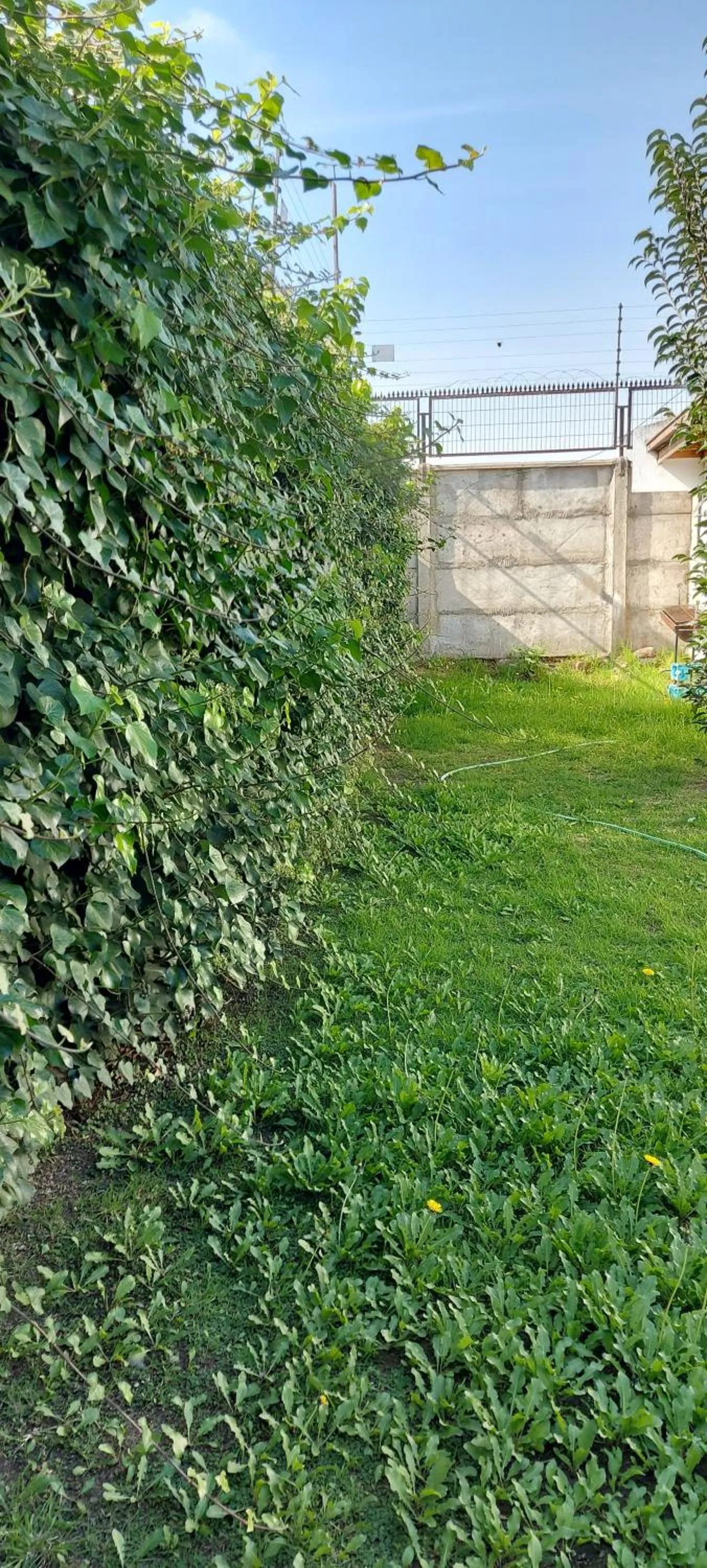 Day in Hotel Chagual