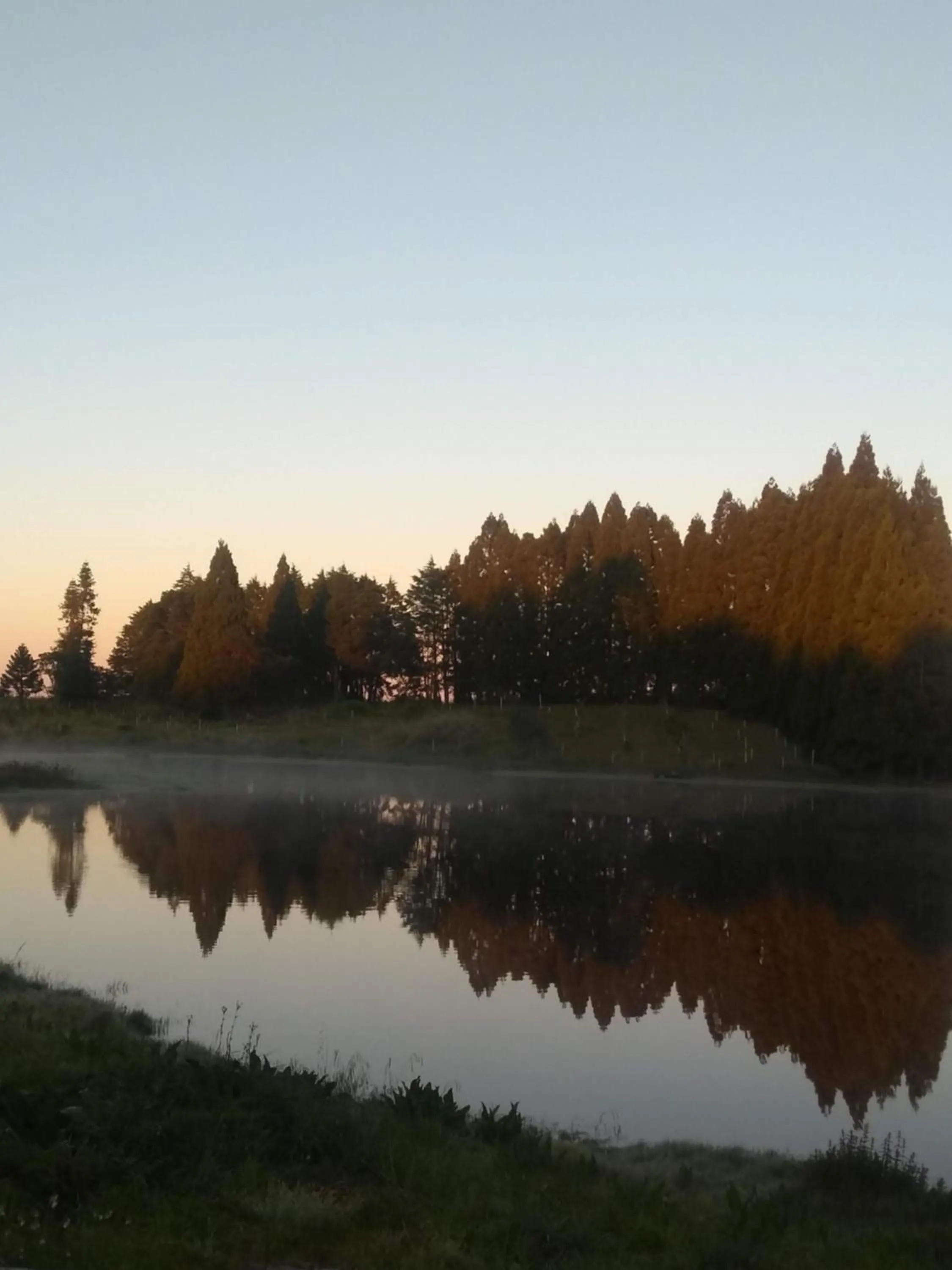 Natural landscape in Pousada Recanto do Lago
