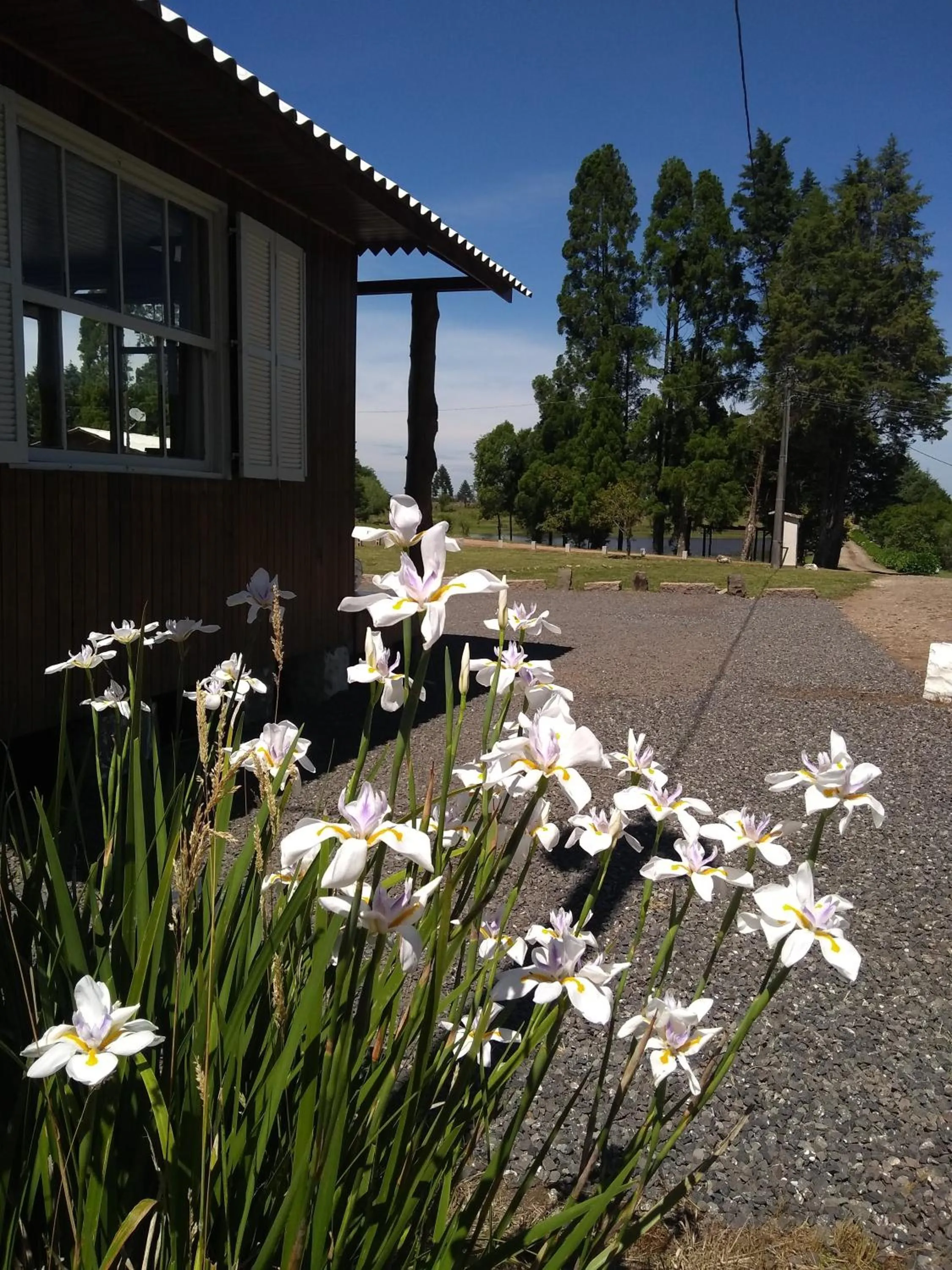 Patio in Pousada Recanto do Lago