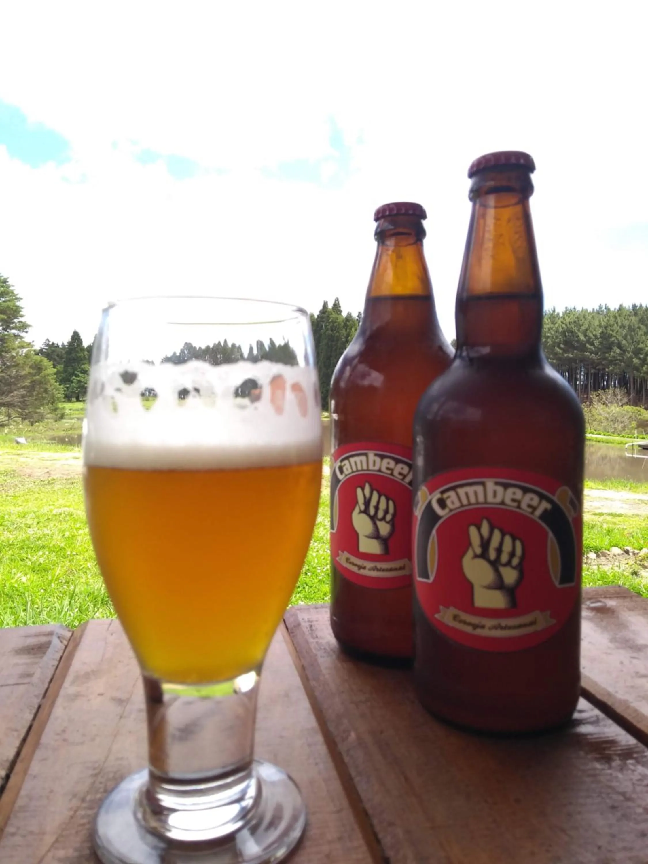 Drinks in Pousada Recanto do Lago