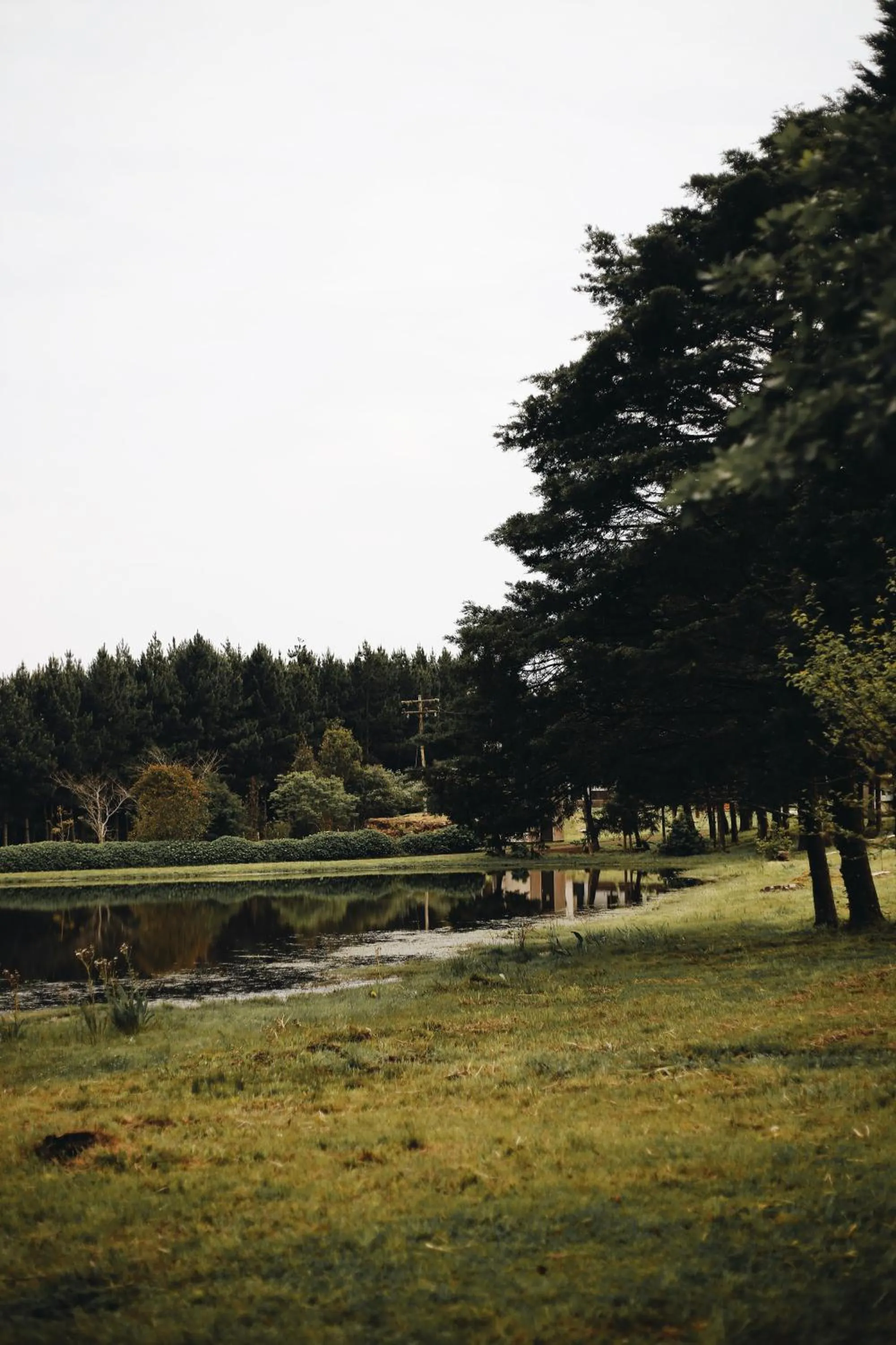 Garden in Pousada Recanto do Lago
