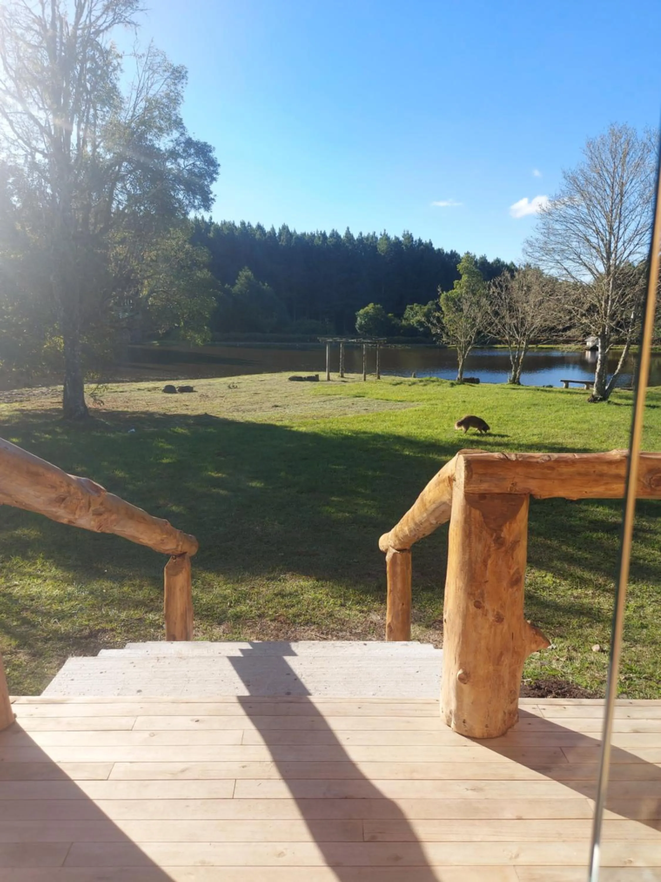 Garden view in Pousada Recanto do Lago