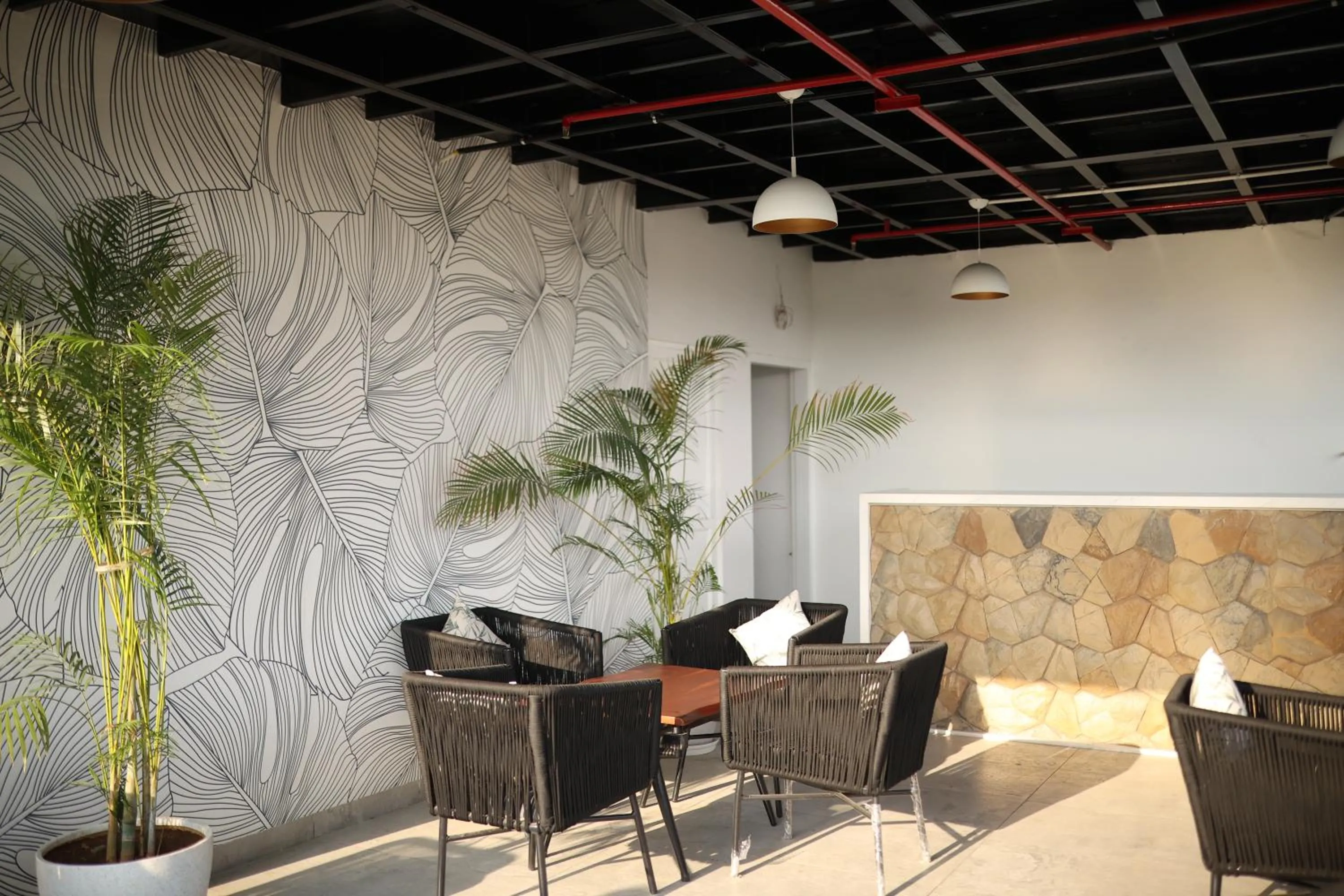 Restaurant/places to eat in Hotel Broadway Udaipur