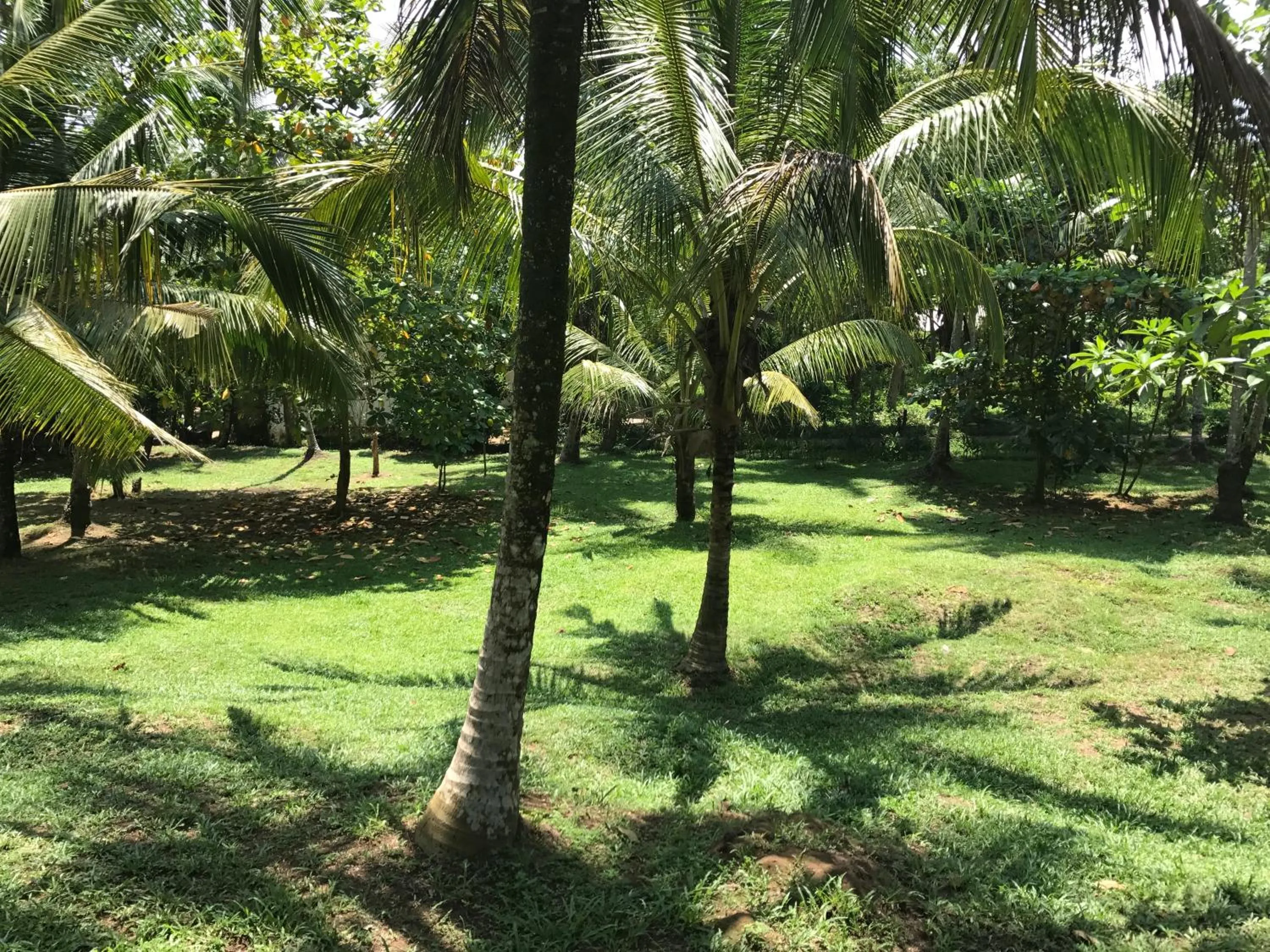 Property building in Good Vibes Villas