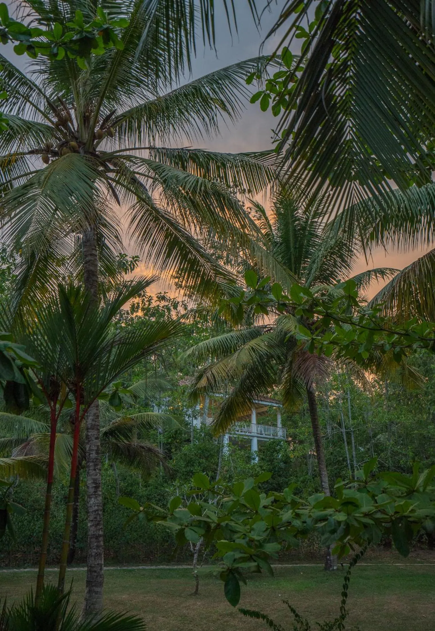 Garden in Good Vibes Villas