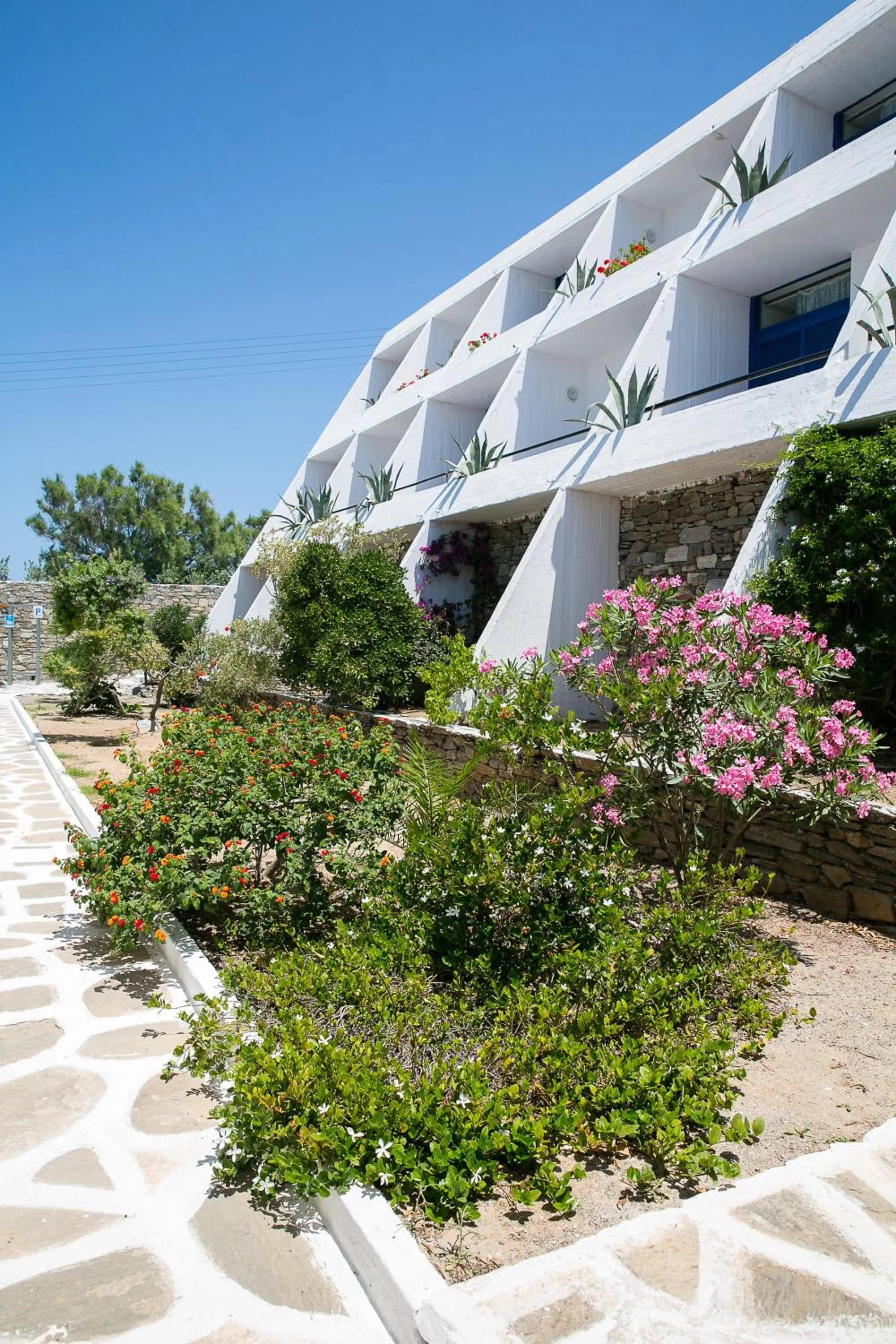 Property building in Hippocampus Hotel