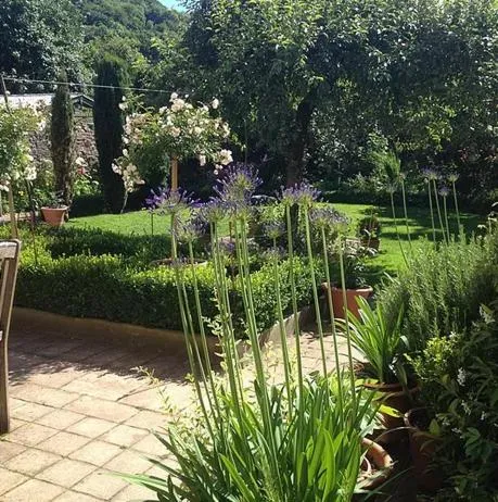 Garden view in Heron House