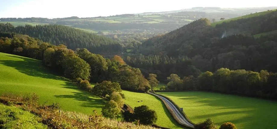 Natural landscape in Heron House