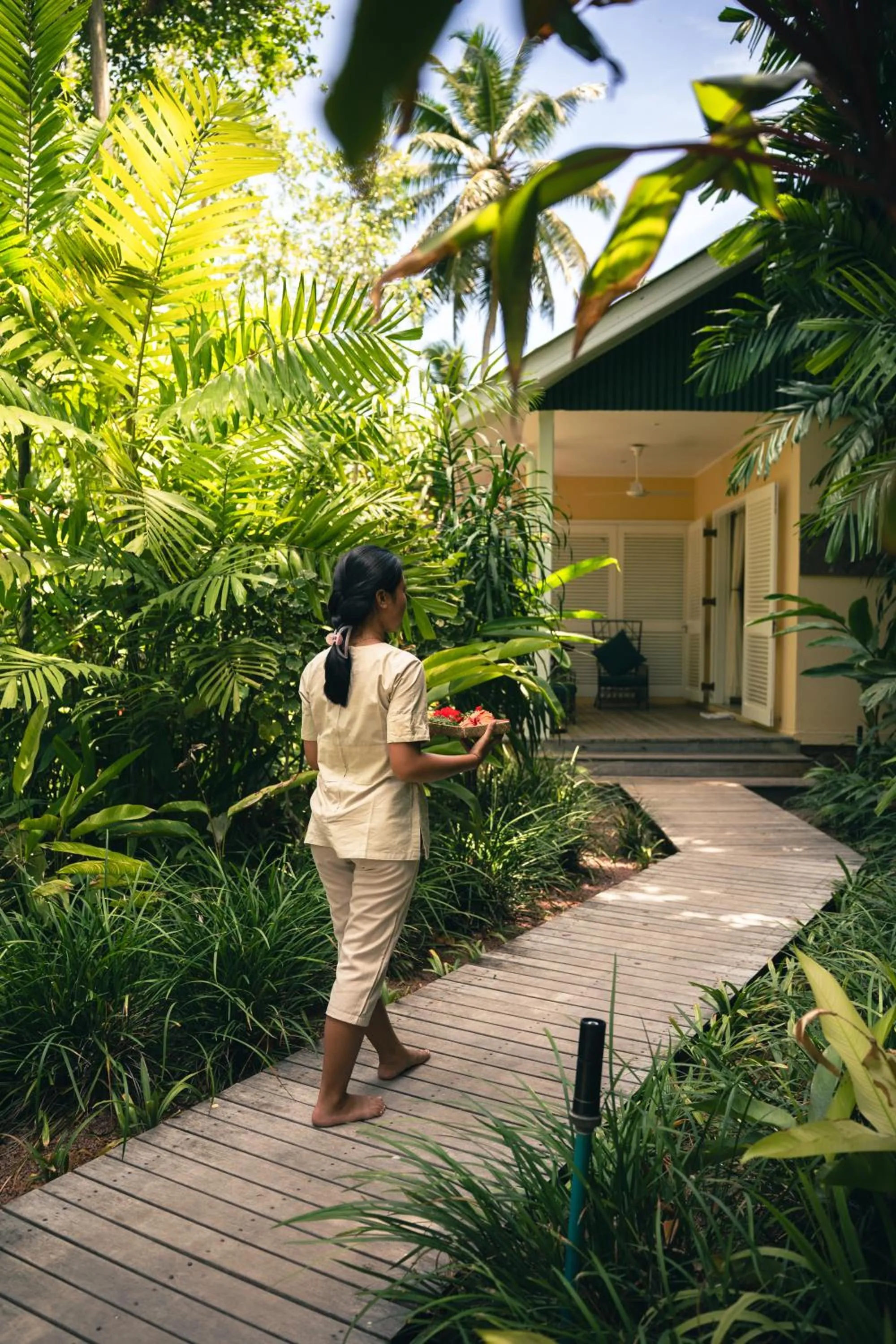 Day in Paradise Sun Hotel Seychelles