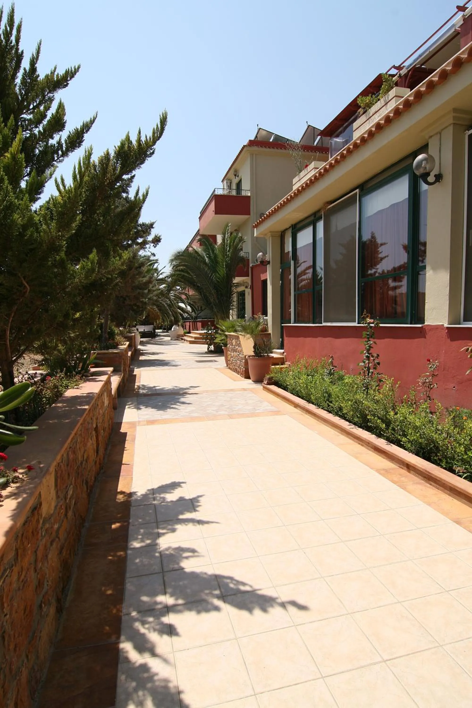 Garden in Morning Star