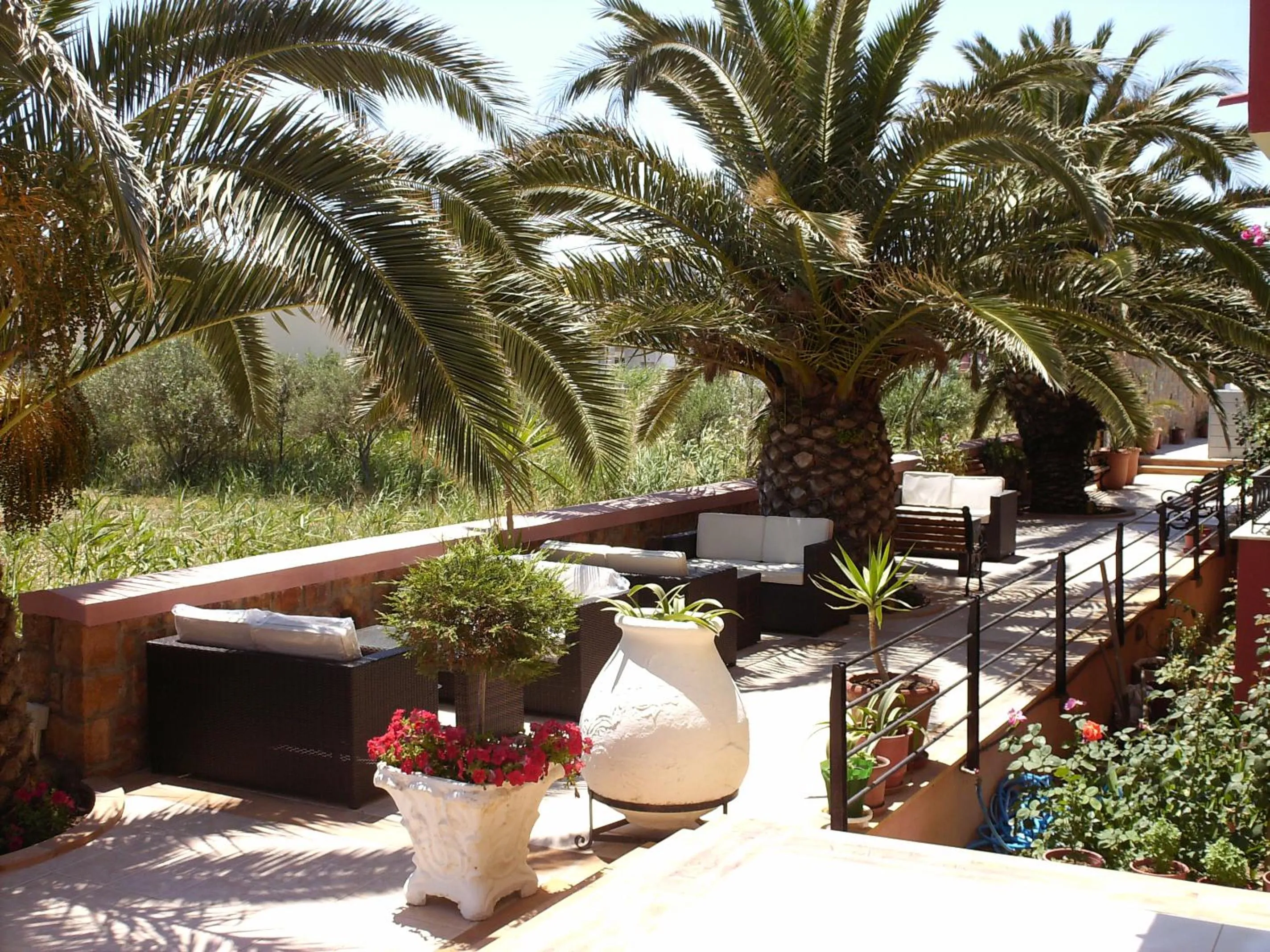 Garden in Morning Star