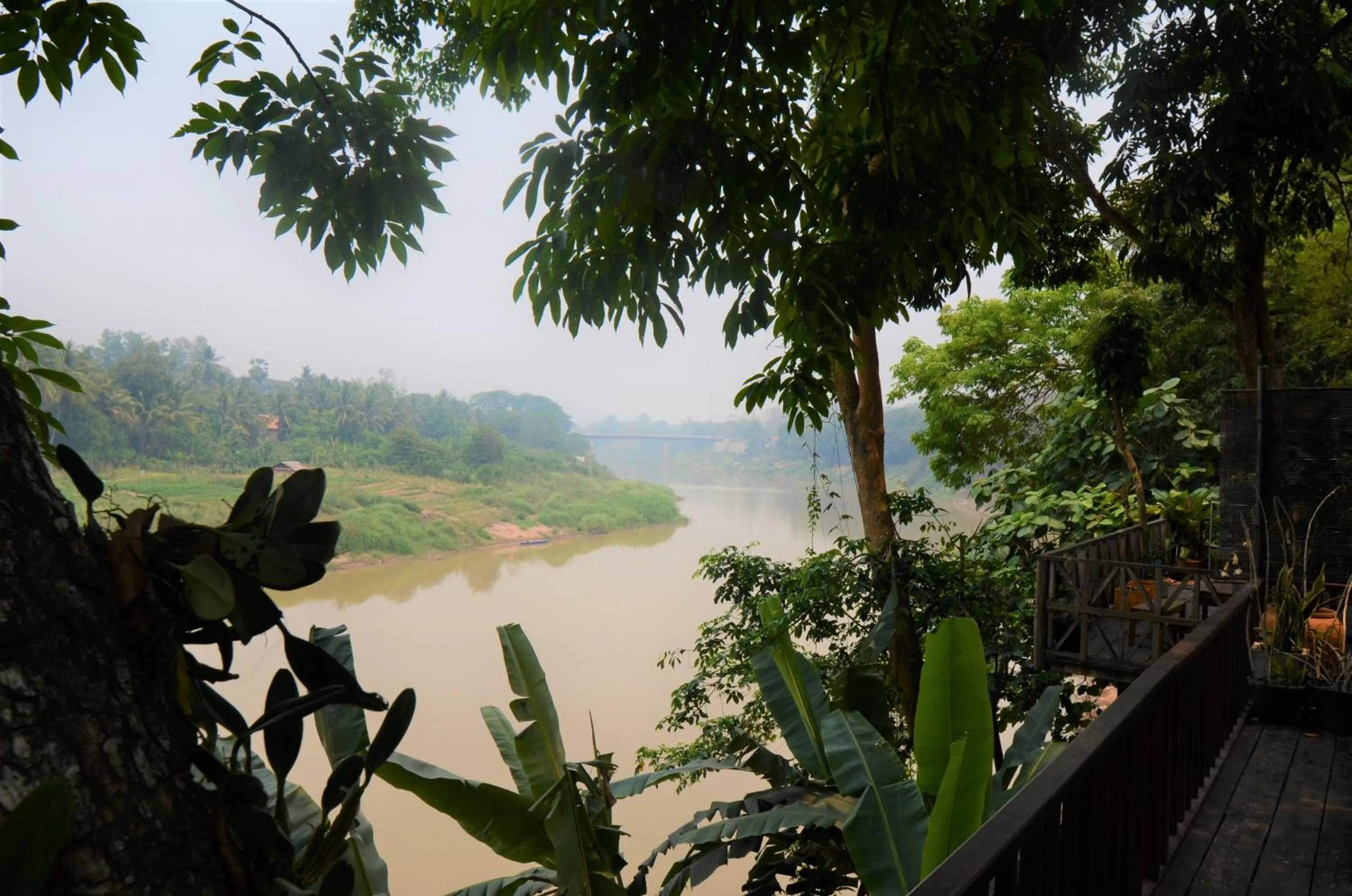 Moonlight Champa Riverview