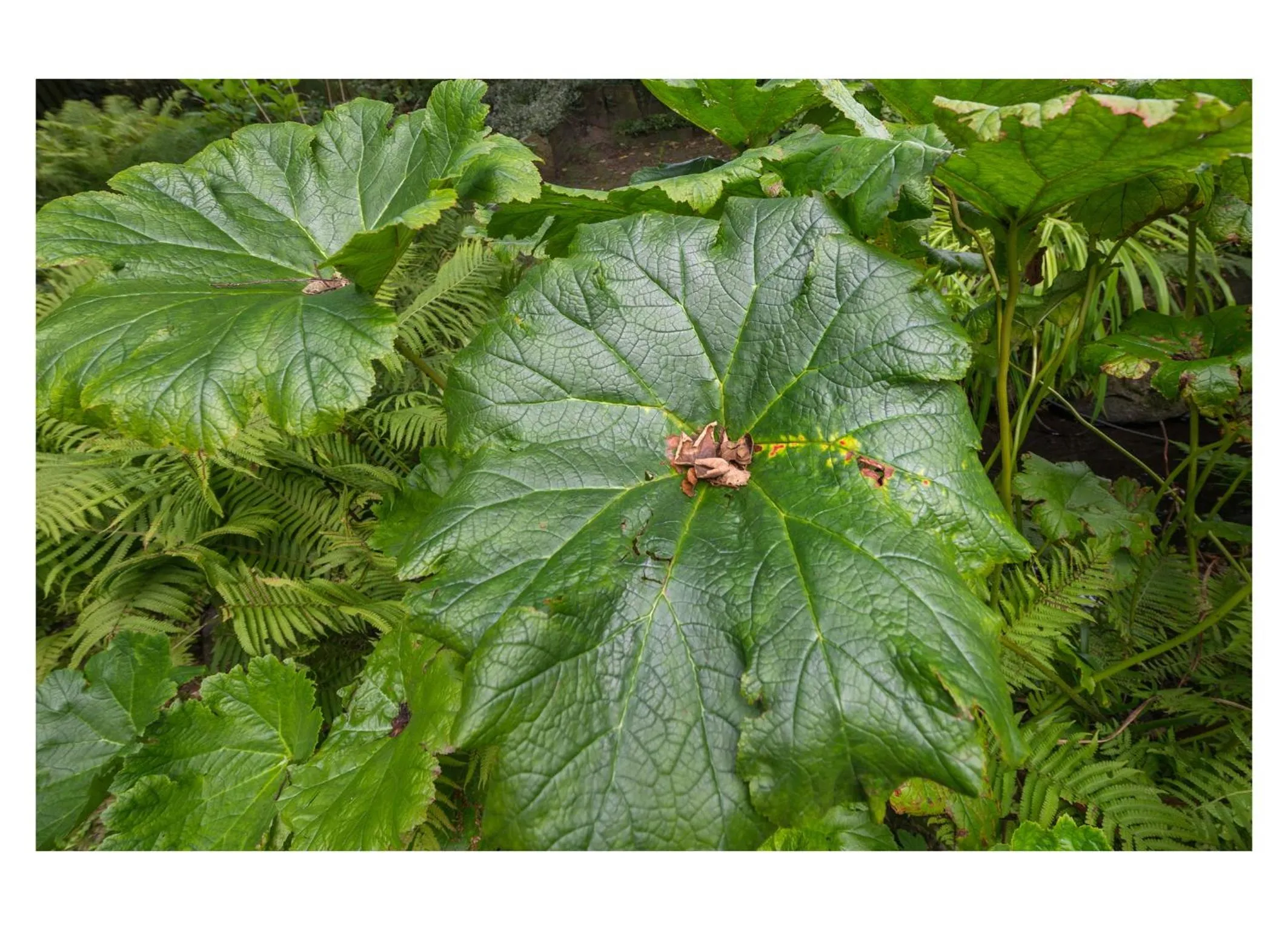 Garden in Gradierwerk Sülze