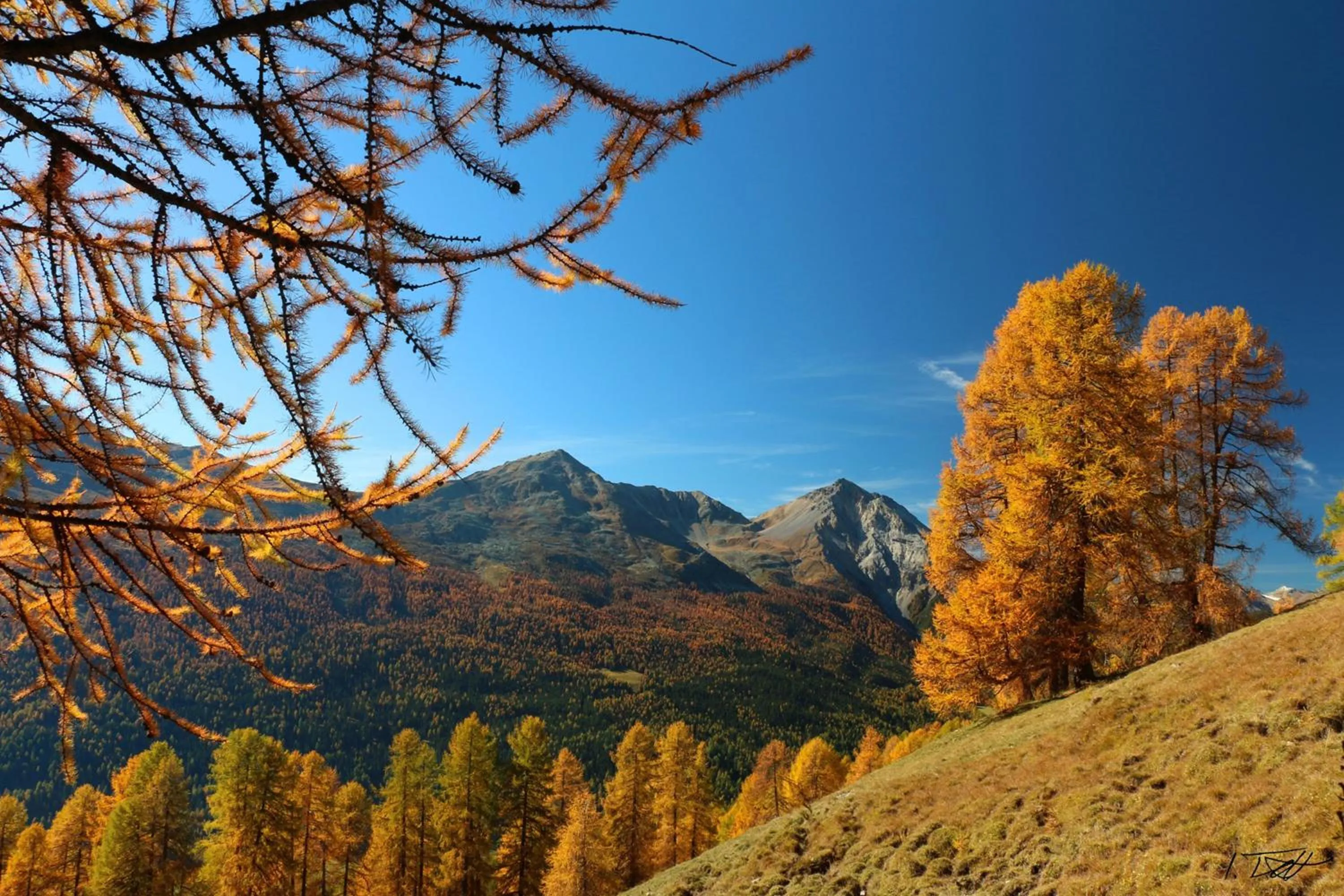 Day in Hotel Central La Fainera Superior