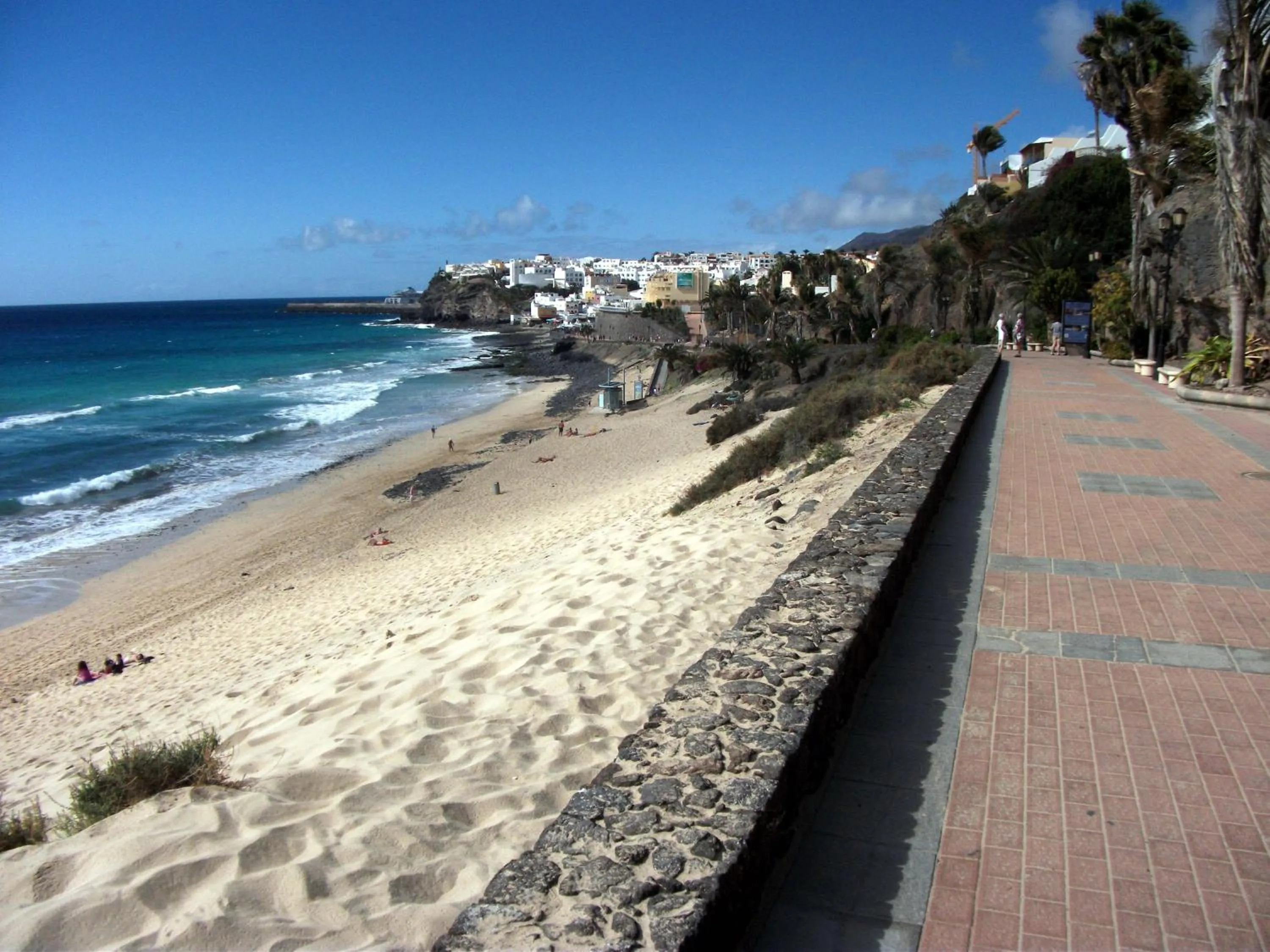 Area and facilities in Apartamentos Palm Garden