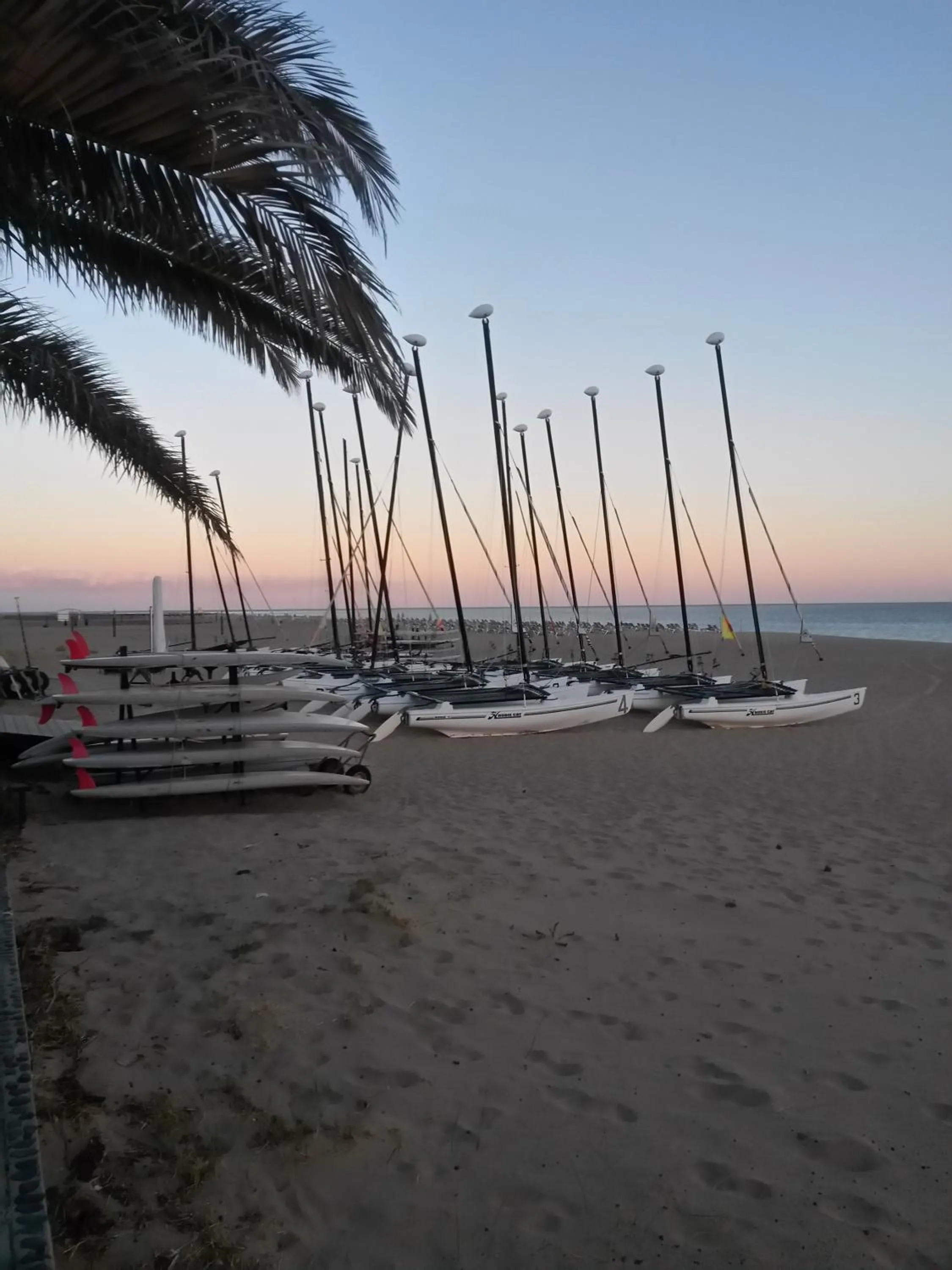 Other in Apartamentos Palm Garden