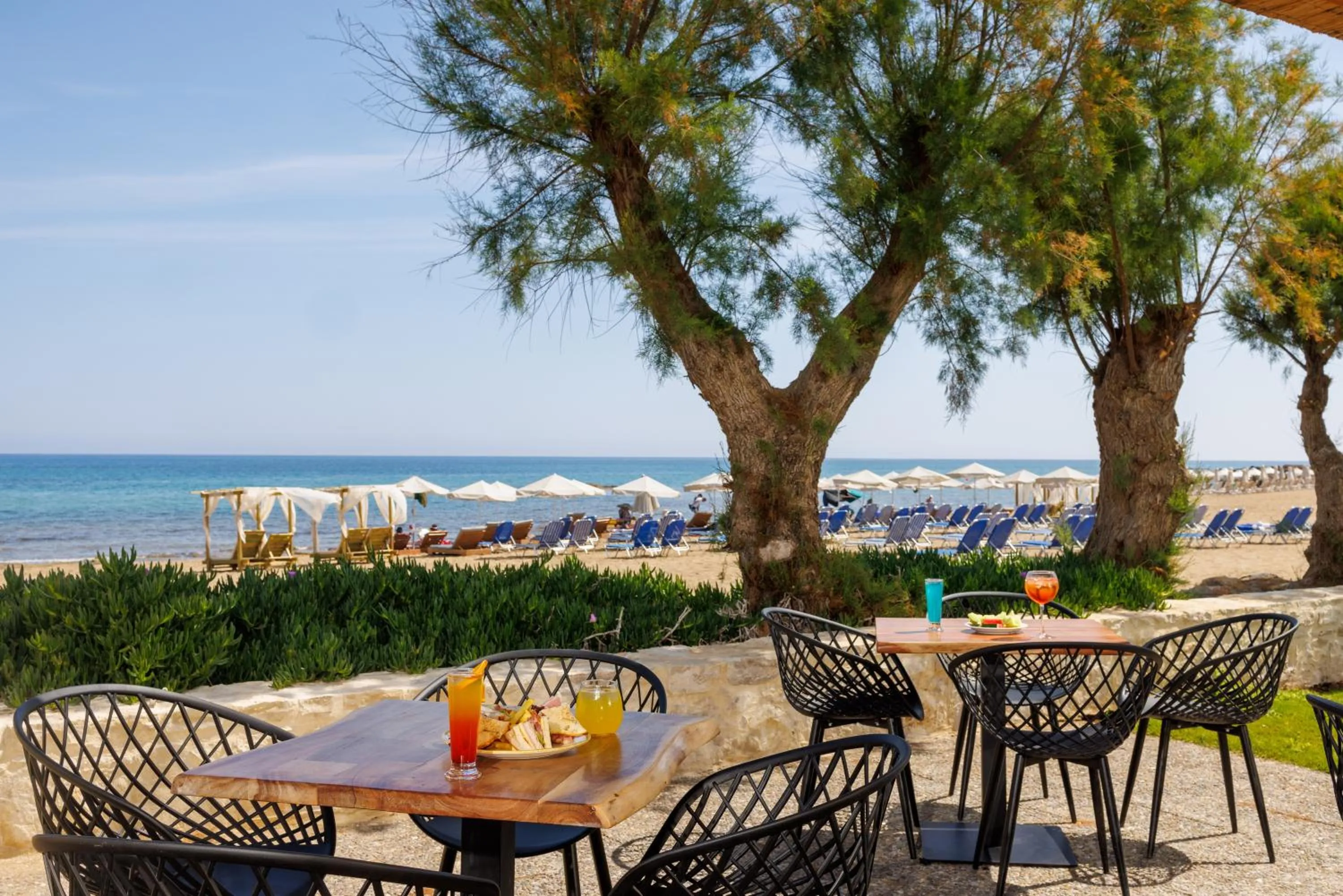 Lounge or bar in Malia Bay Beach Hotel & Bungalows