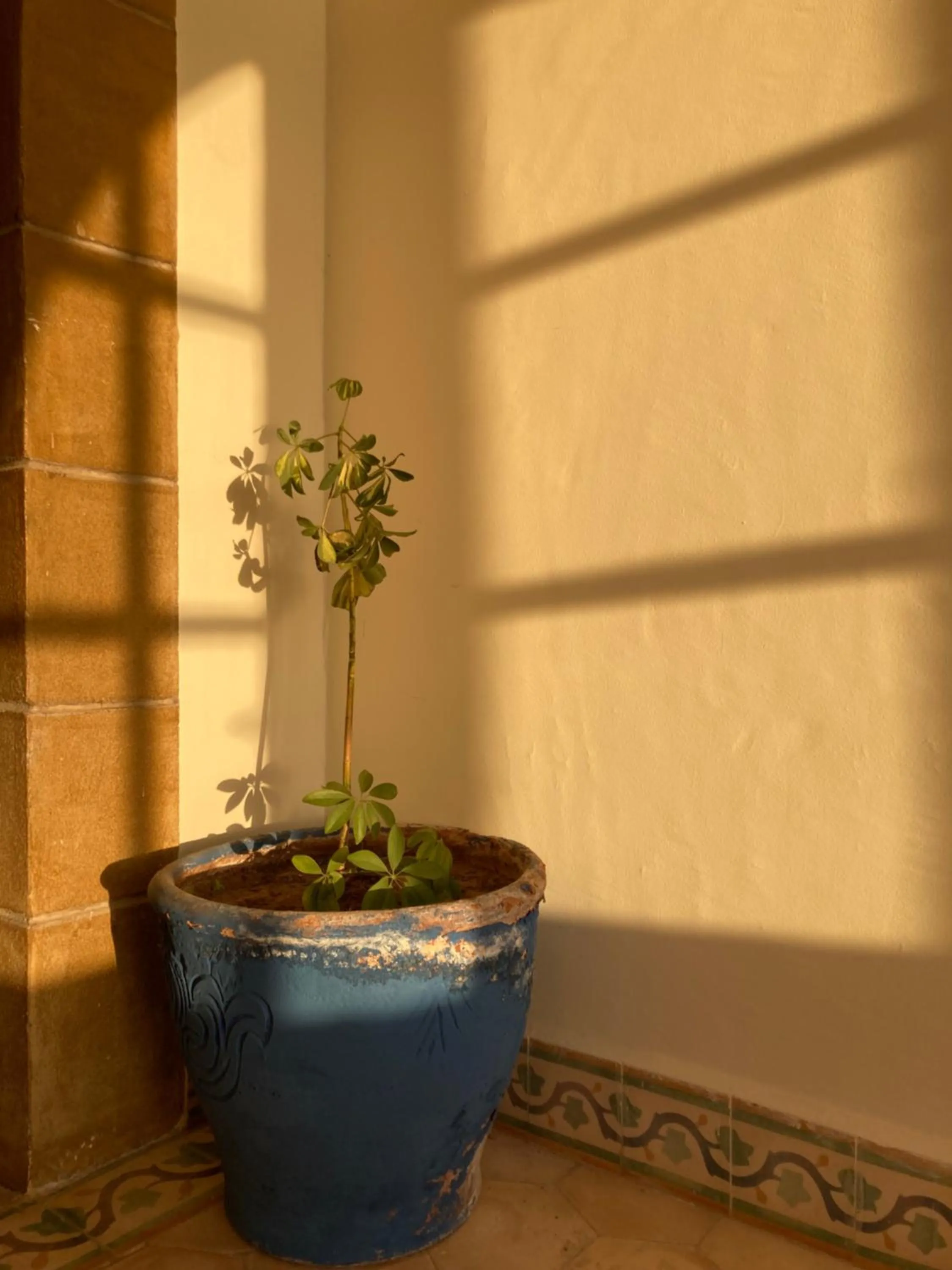Inner courtyard view in Auberge du Marabout