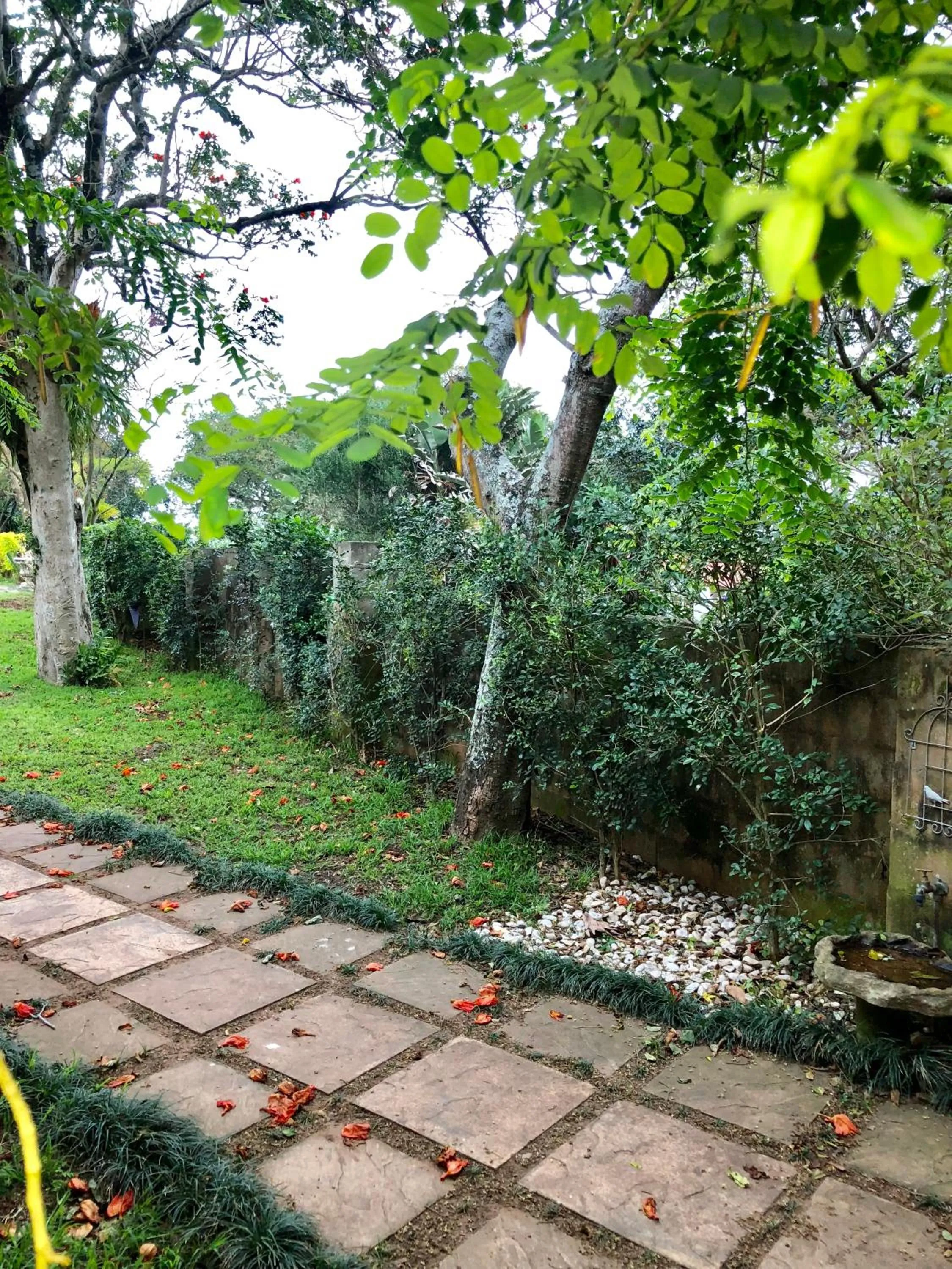 Garden in Salt Rock Manor