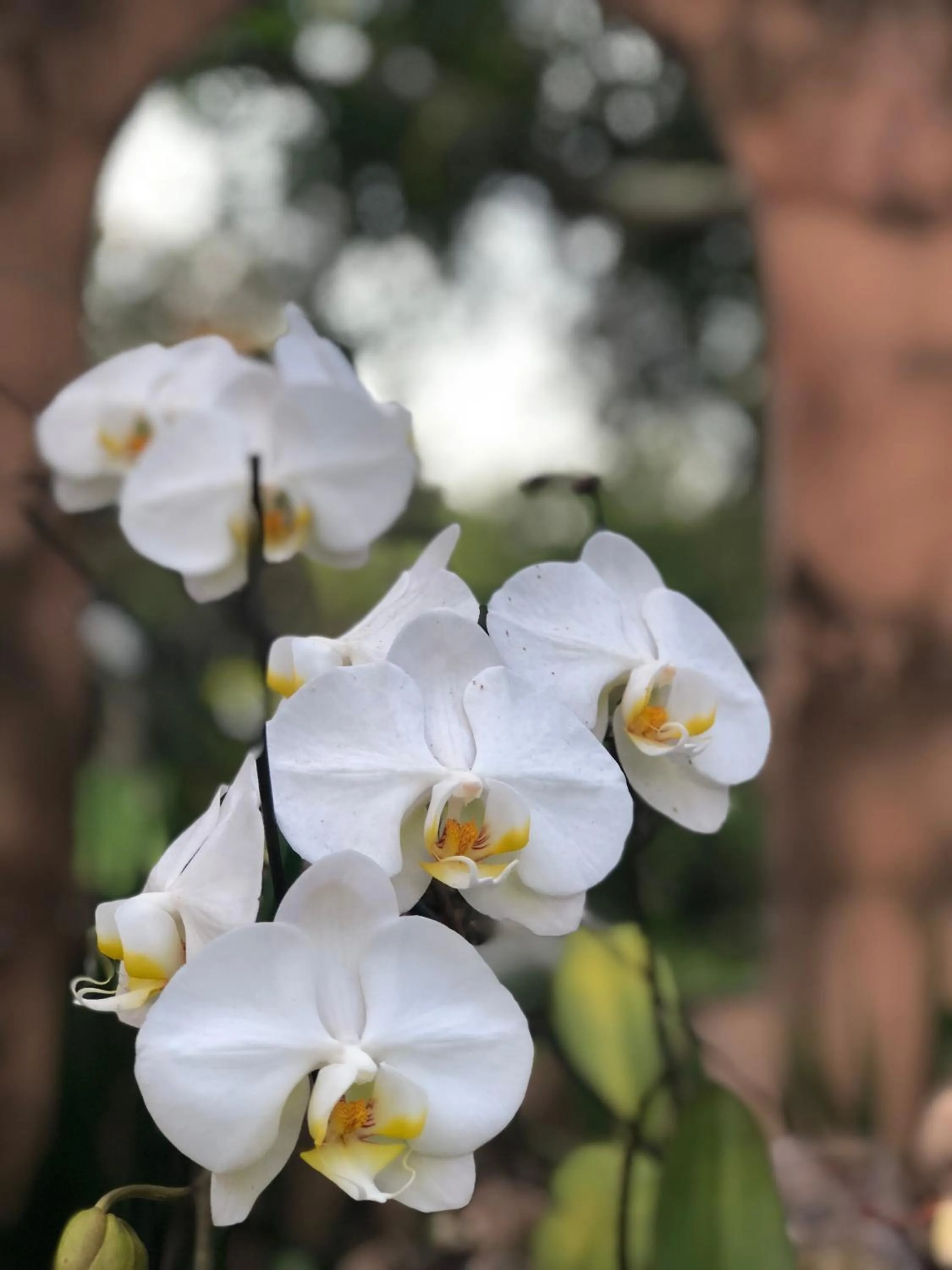 Garden in Salt Rock Manor