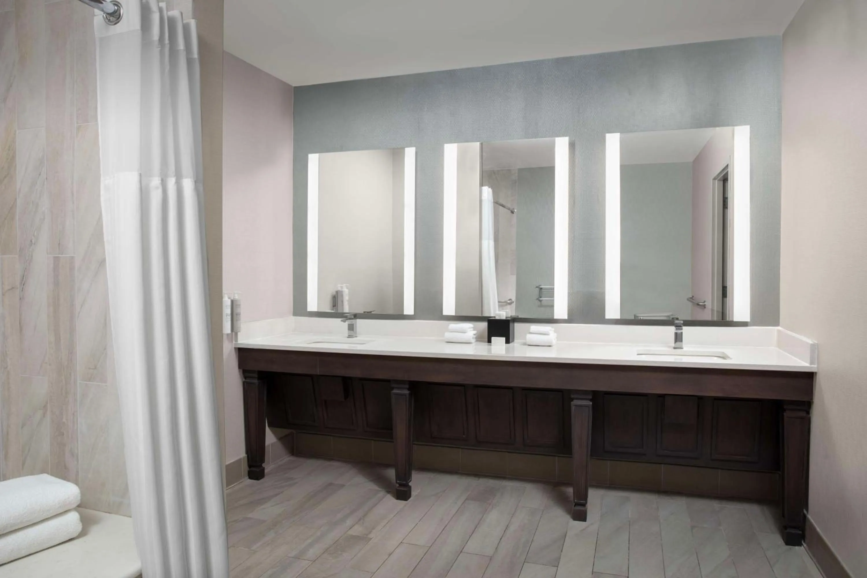 Bathroom in Hilton Garden Inn Philadelphia-Fort Washington