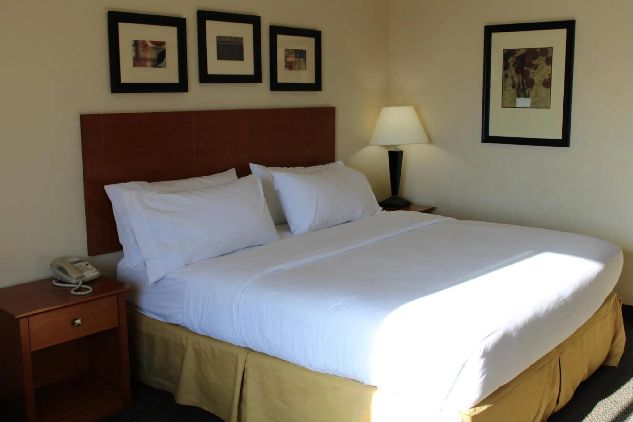 Photo of the whole room, Bed in Holiday Inn Express Hotel Vernal by IHG
