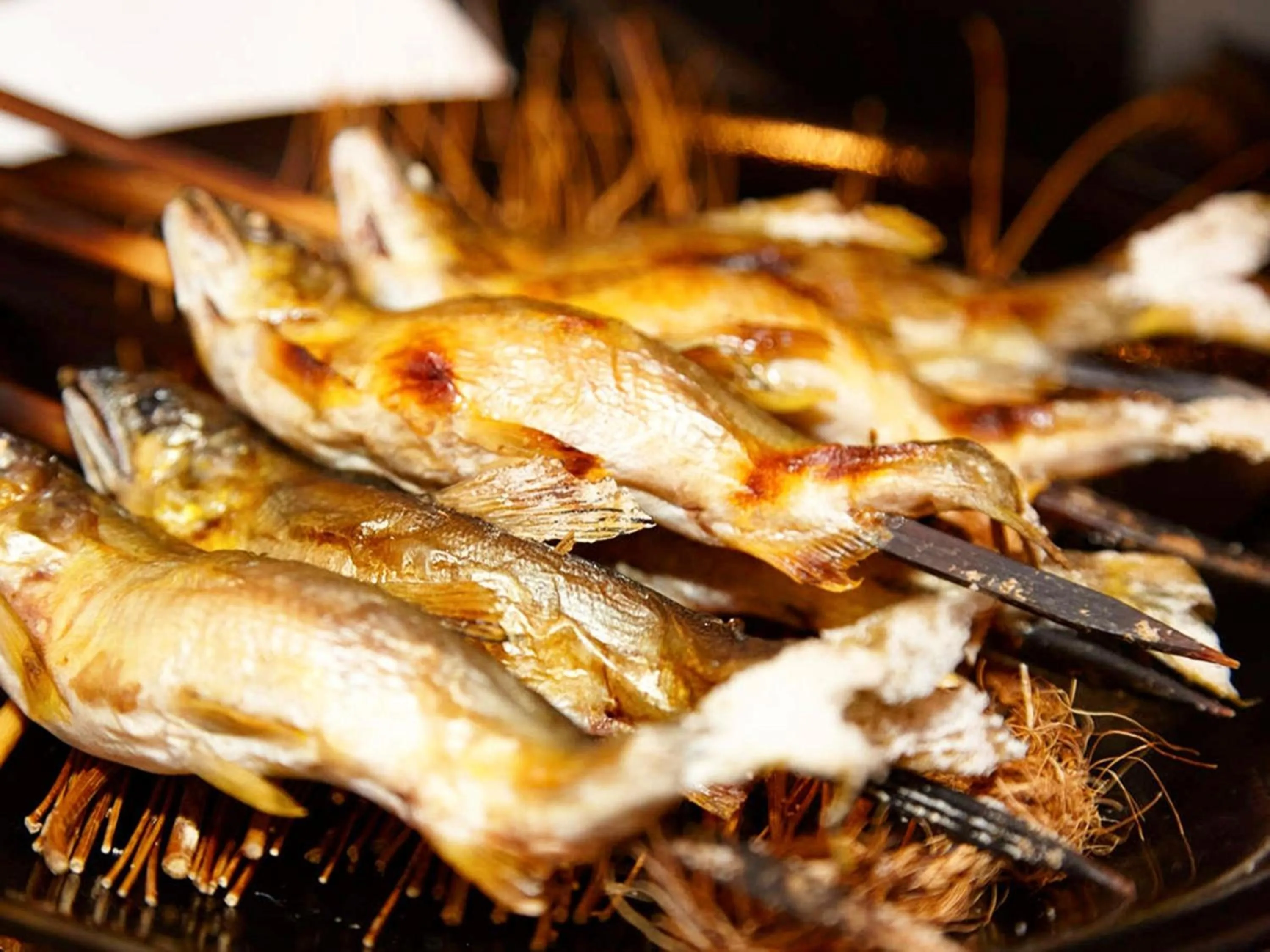 Food and drinks in Hotel Resol Gifu