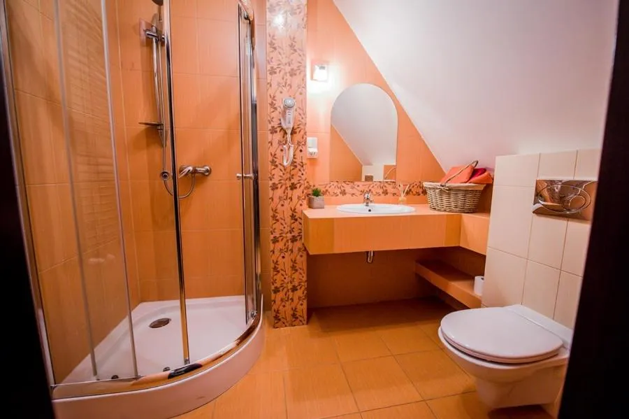 Shower in WILLA GALANTÓWKA