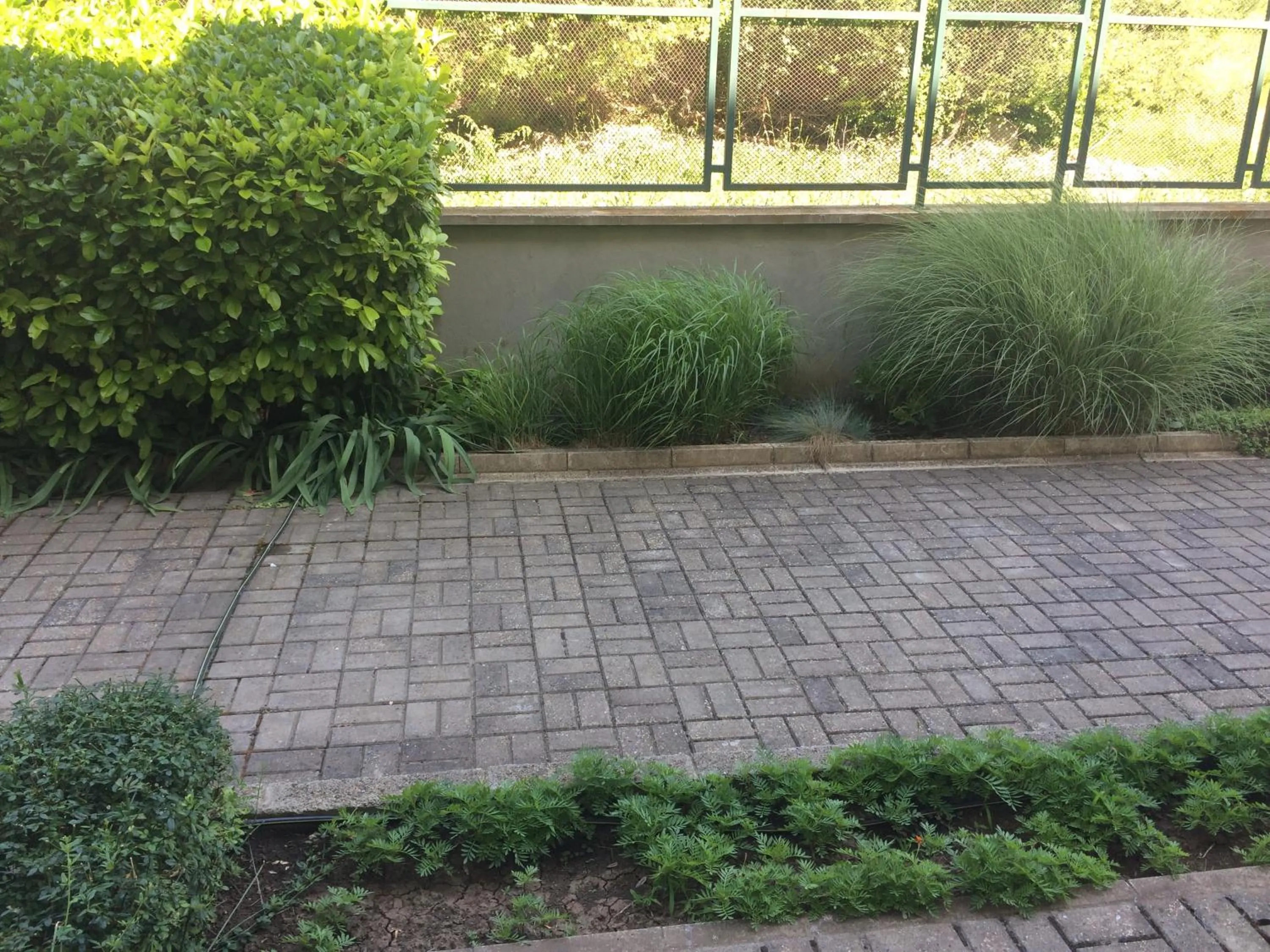 Garden in Villa Allegra