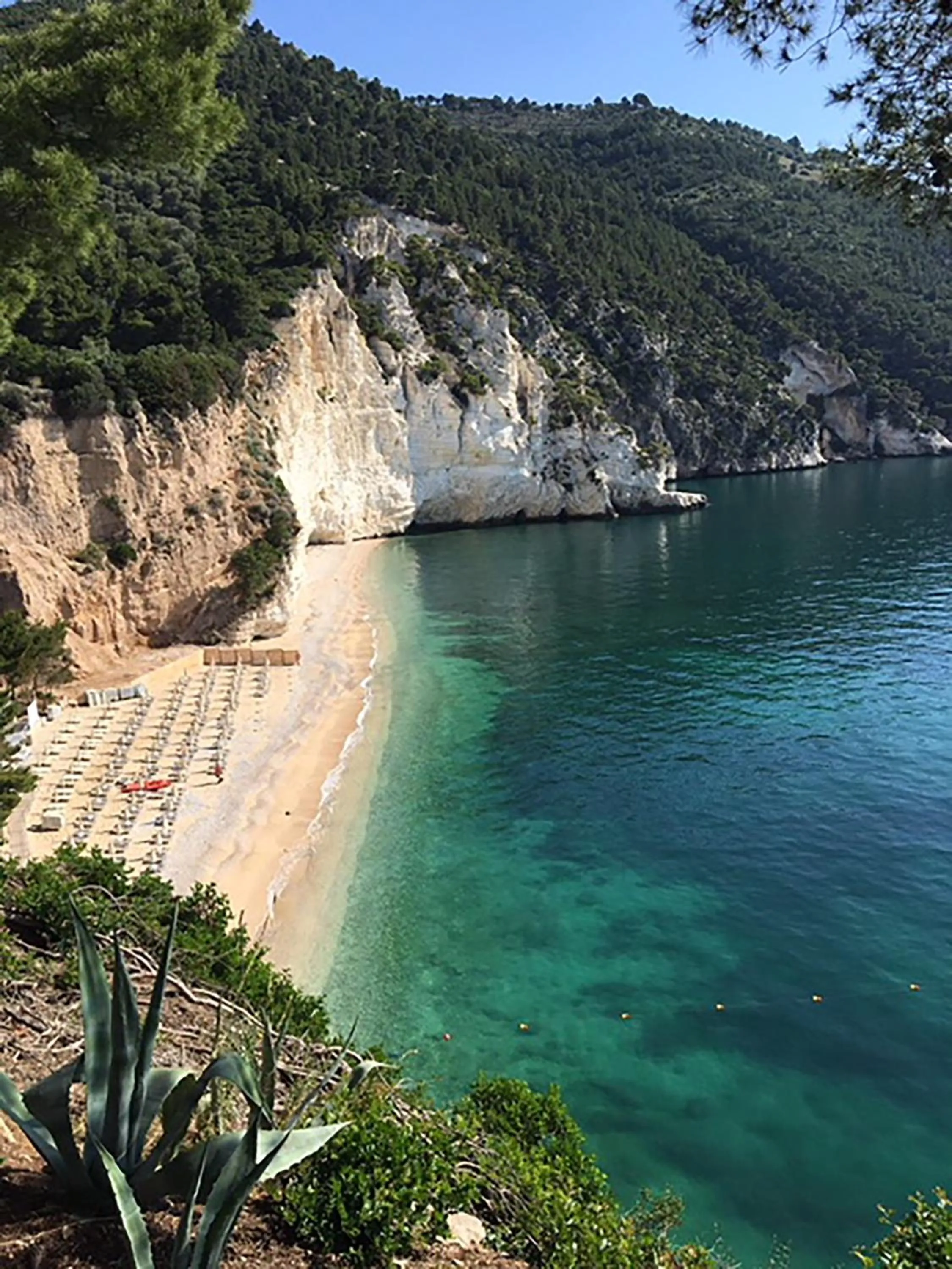 Day in Baia Delle Zagare - Handwritten Collection