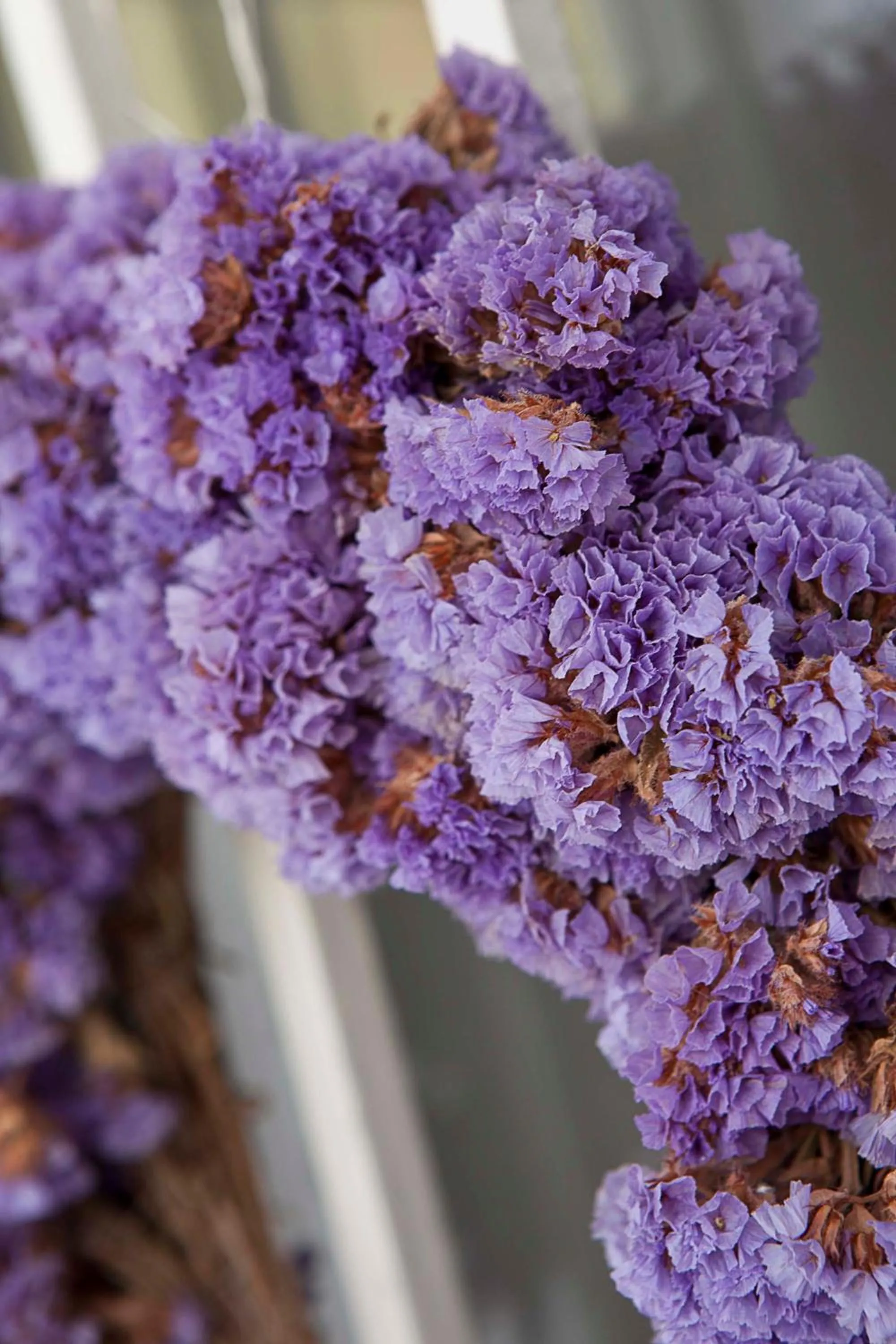 Decorative detail in Moshinos Hotel