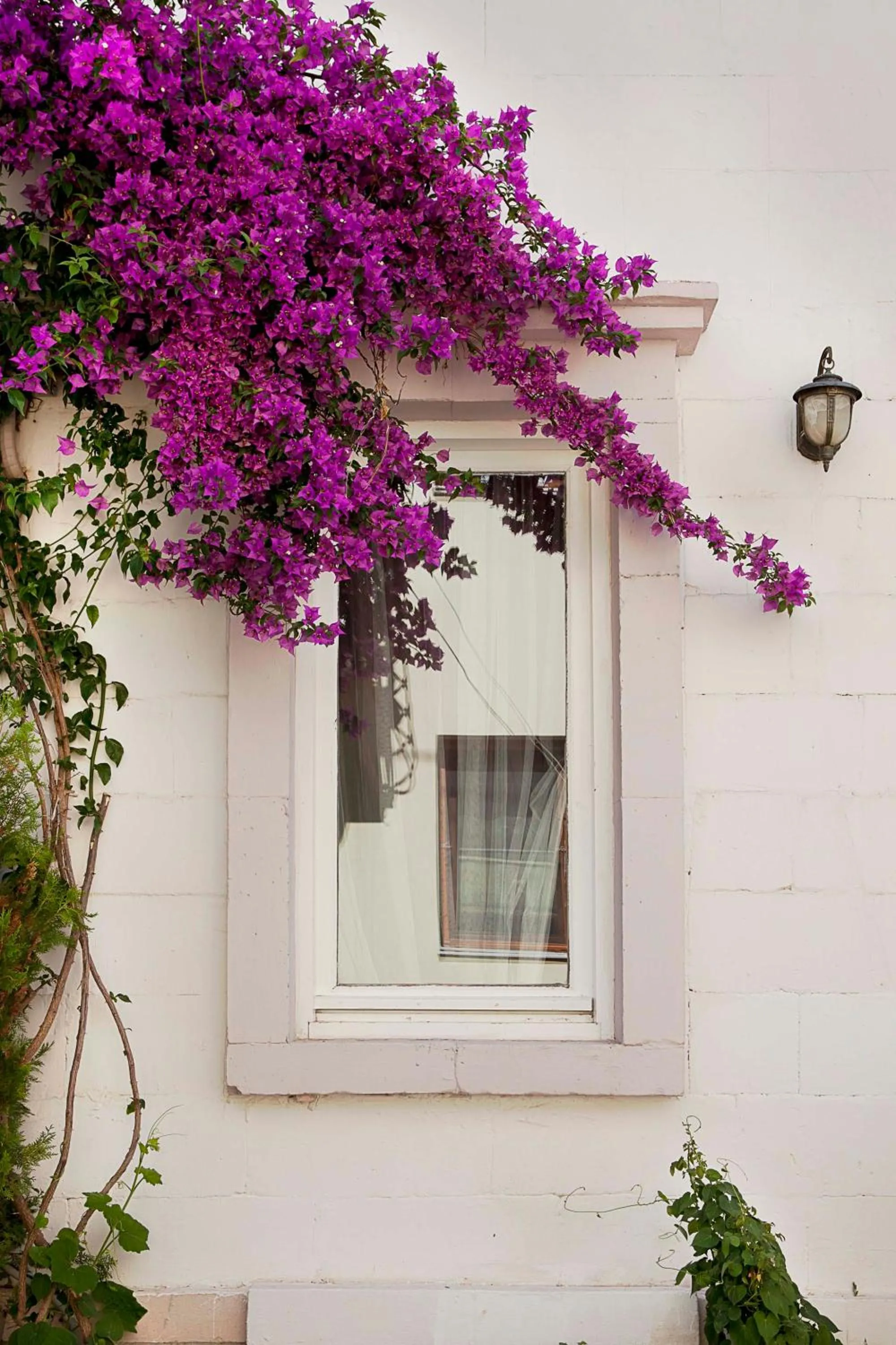 Facade/entrance in Moshinos Hotel