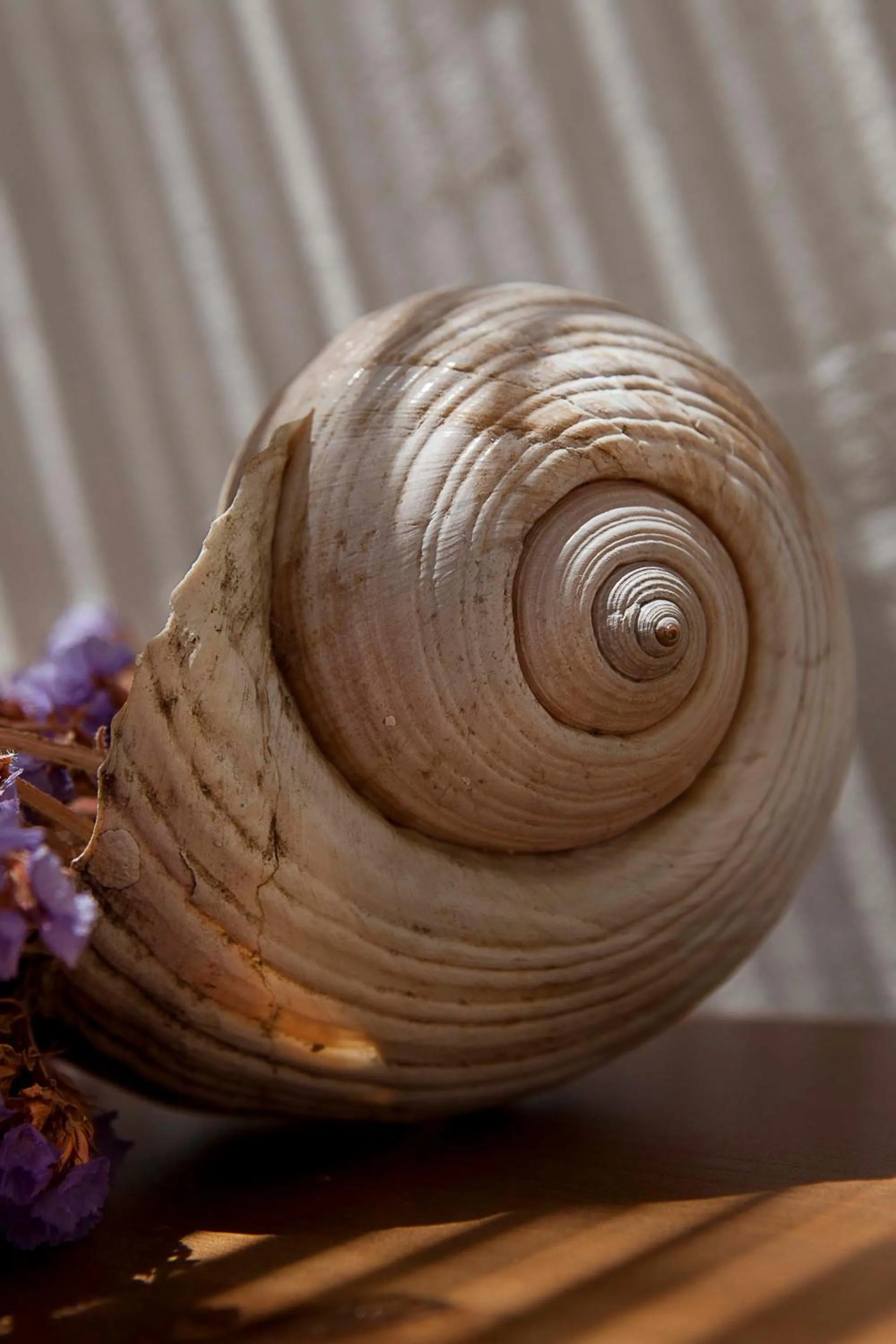 Decorative detail in Moshinos Hotel