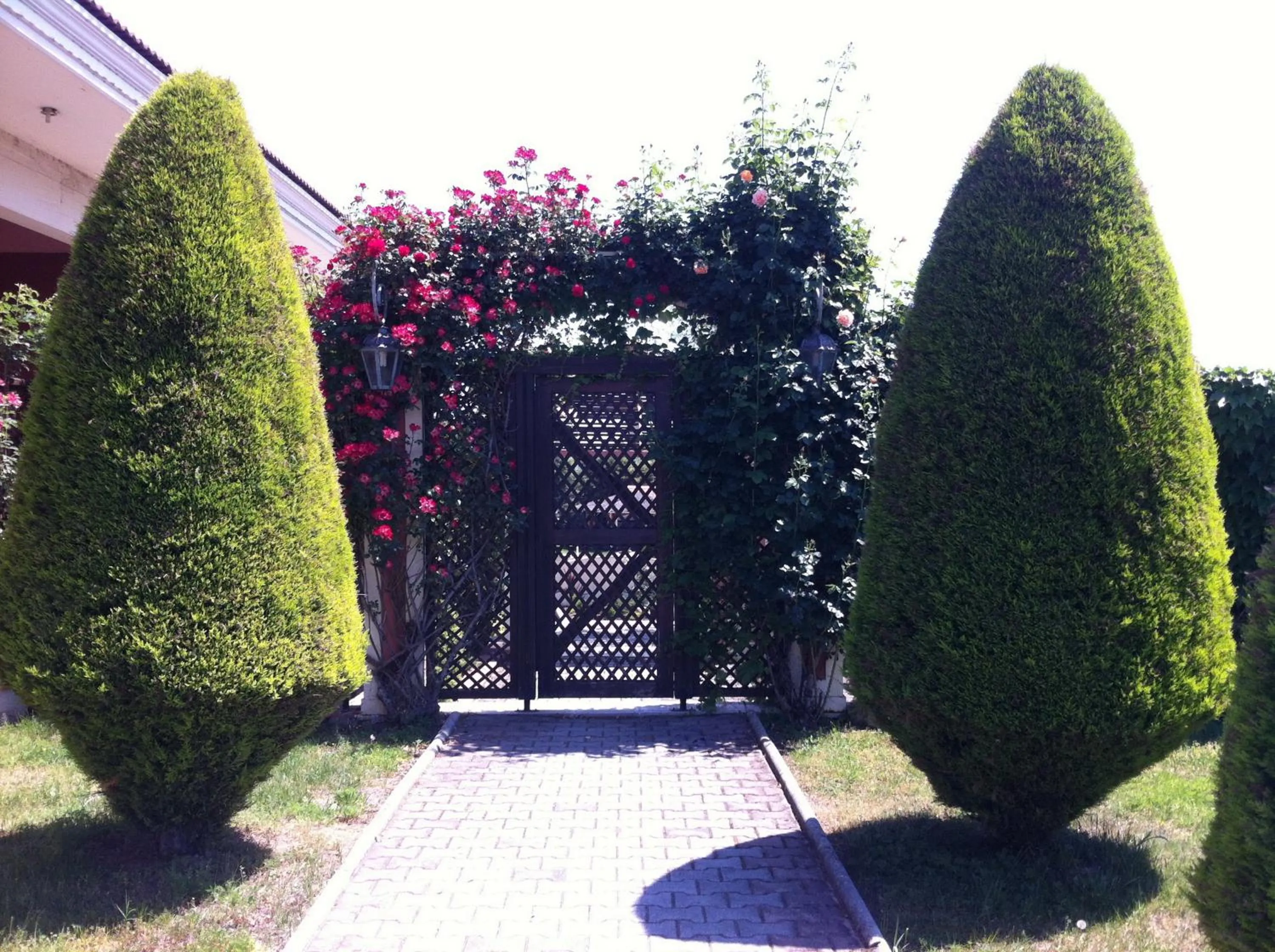 Garden in Hotel Aiges Melathron