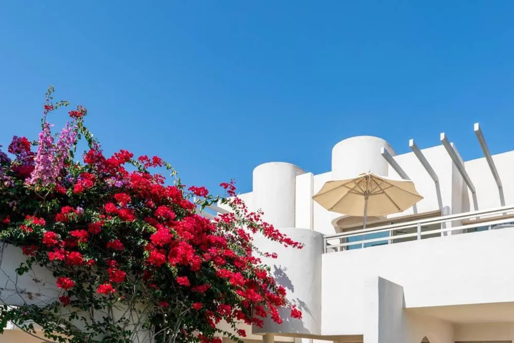 Property building in Servatur Eden & Buganvillas