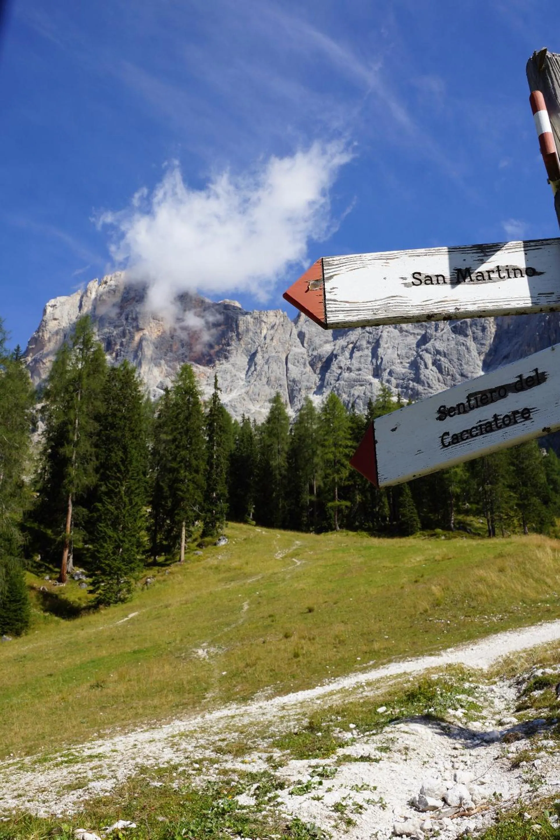 Natural landscape in Hotel Colbricon Beauty & Relax