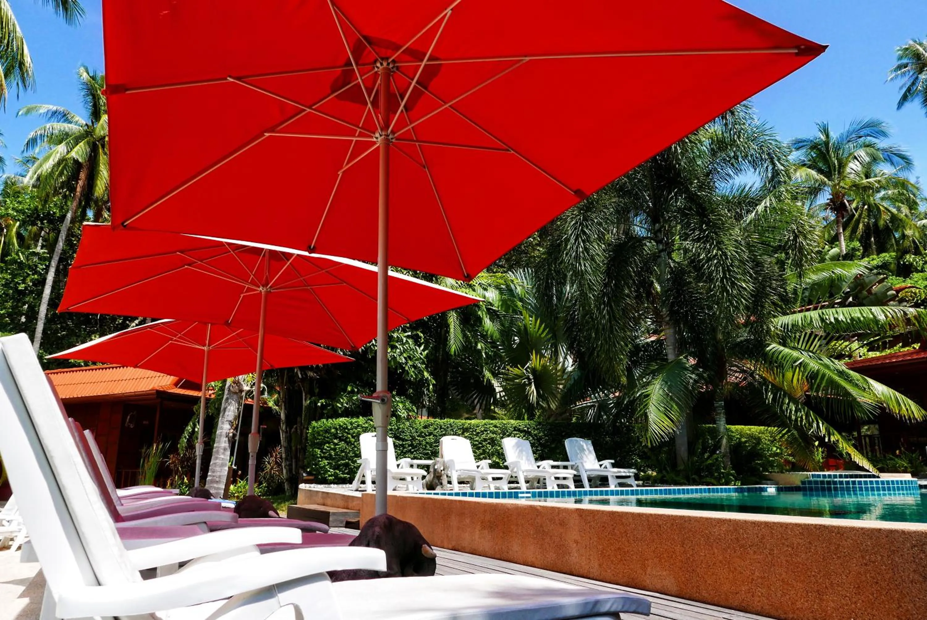 Swimming pool in Cyana Resort