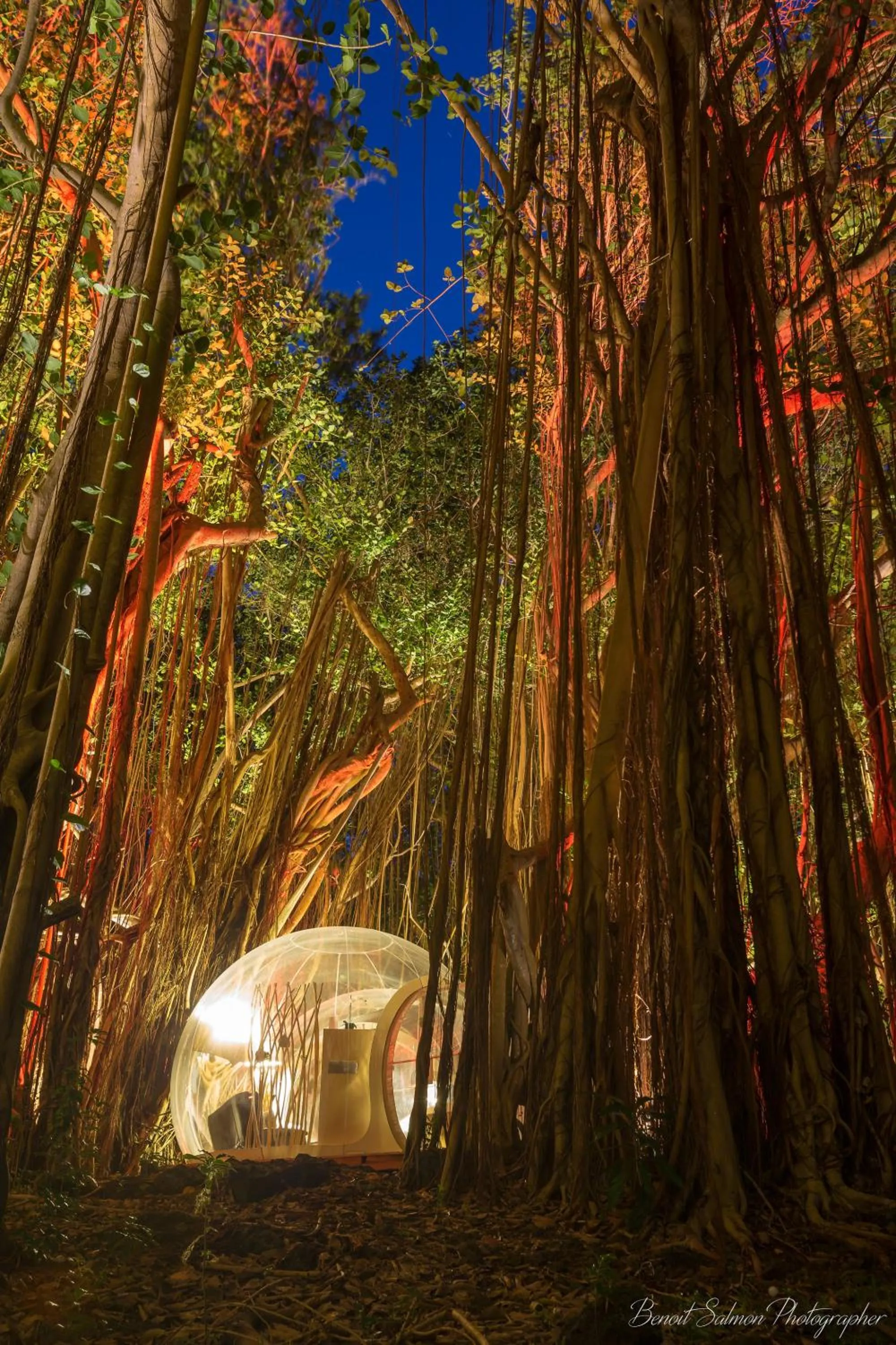 Spring in Bubble Lodge Ile aux Cerfs Island